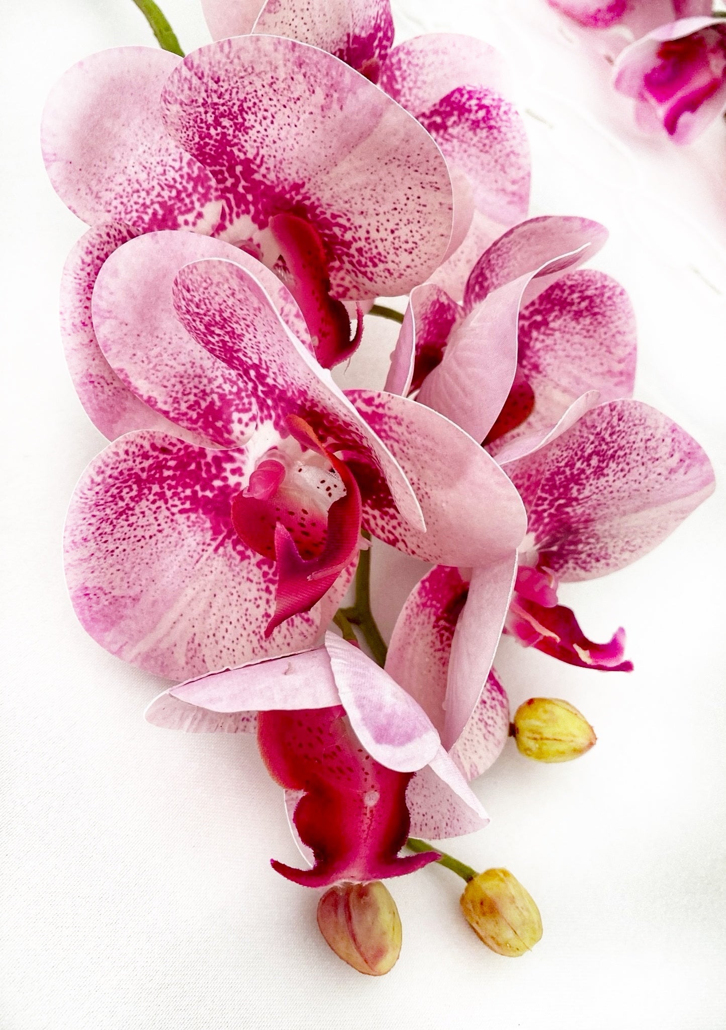 orchidee künstlich Künstliche Orchidee, Rosa Orchidee, Rosa Blumen, Echte Orchideen, Kuns –  Elegantly You