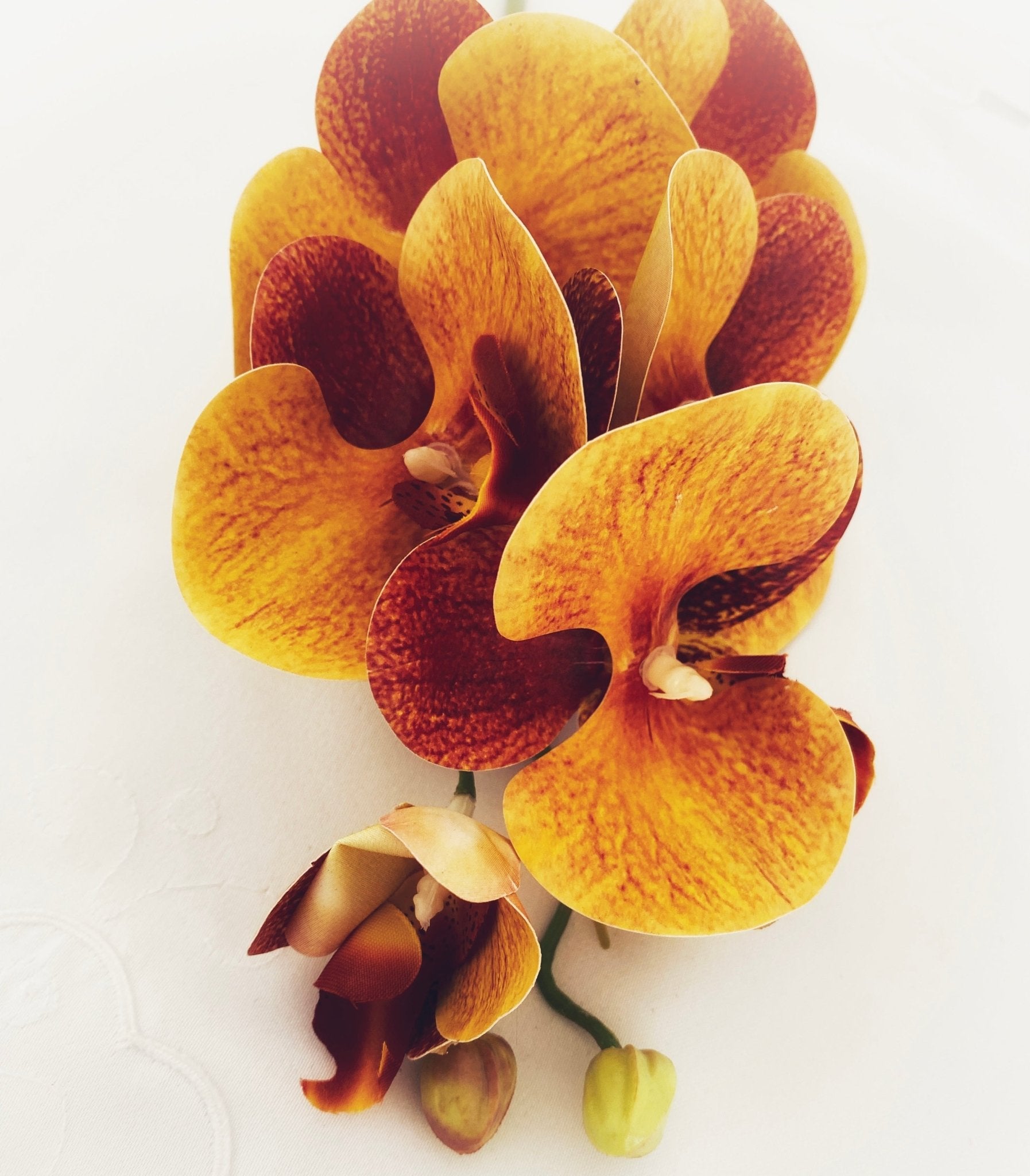 Artificial Orange Orchid, Orange Flowers, Flowers Gift for Her, Real Touch Orchids, Faux Orchid Flowers, Wedding Flowers, Artificial Flowers - Floralific