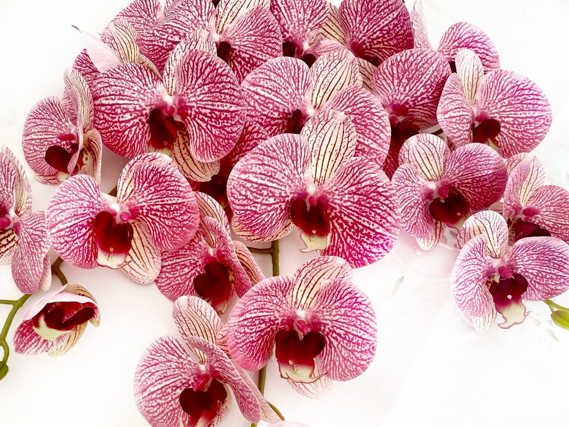 Artificial Orchid Flower, Gift for Her, Real Look Orchids, Pink Striped Orchid Stem, Phalaenopsis, Artificial Faux Orchid Flower - Elegantly You