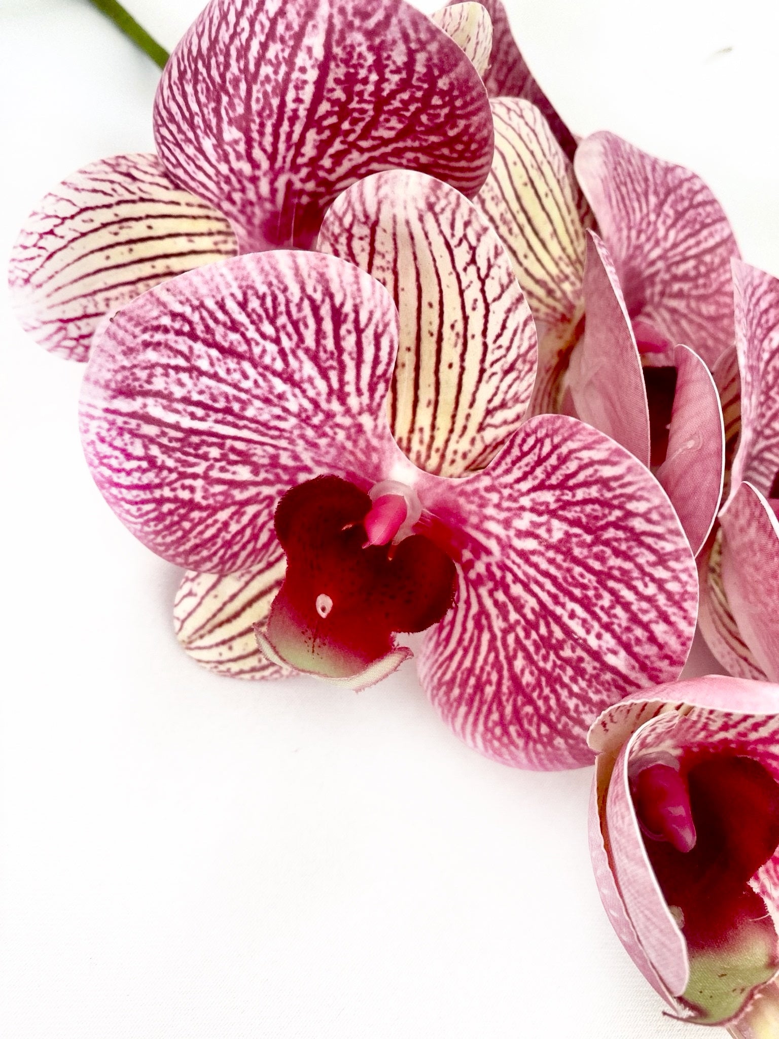 Artificial Orchid Flower, Gift for Her, Real Look Orchids, Pink Striped Orchid Stem, Phalaenopsis, Artificial Faux Orchid Flower - Elegantly You