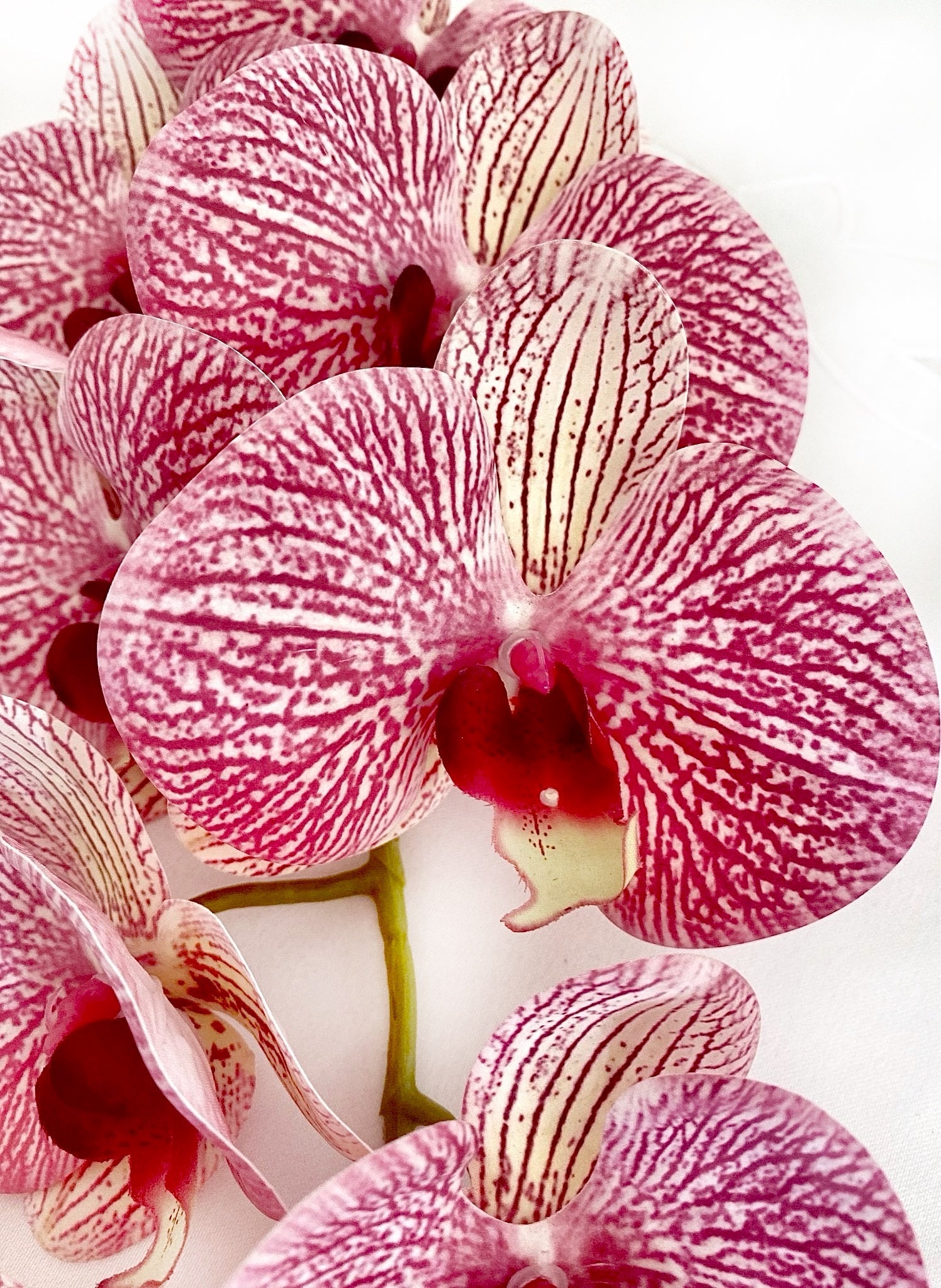 Künstliche Orchidee, Machen Sie Ihre eigene Pflanze, Geschenk für Sie,  Orchideen im echten Look, rosa gestreifte Orchidee, Phalaenopsis,  künstliche 