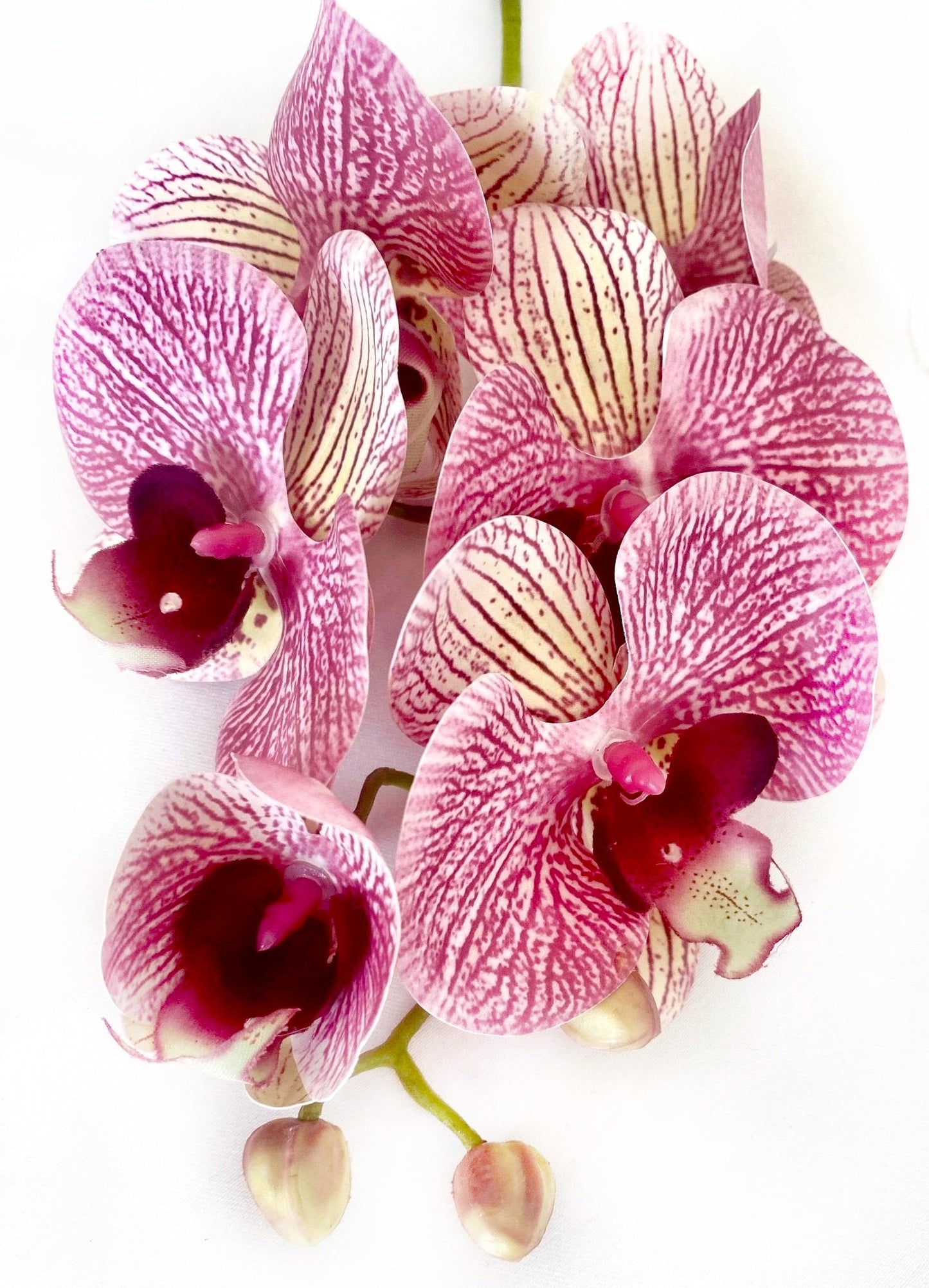 Artificial Orchid Flower, Gift for Her, Real Look Orchids, Pink Striped Orchid Stem, Phalaenopsis, Artificial Faux Orchid Flower - Elegantly You