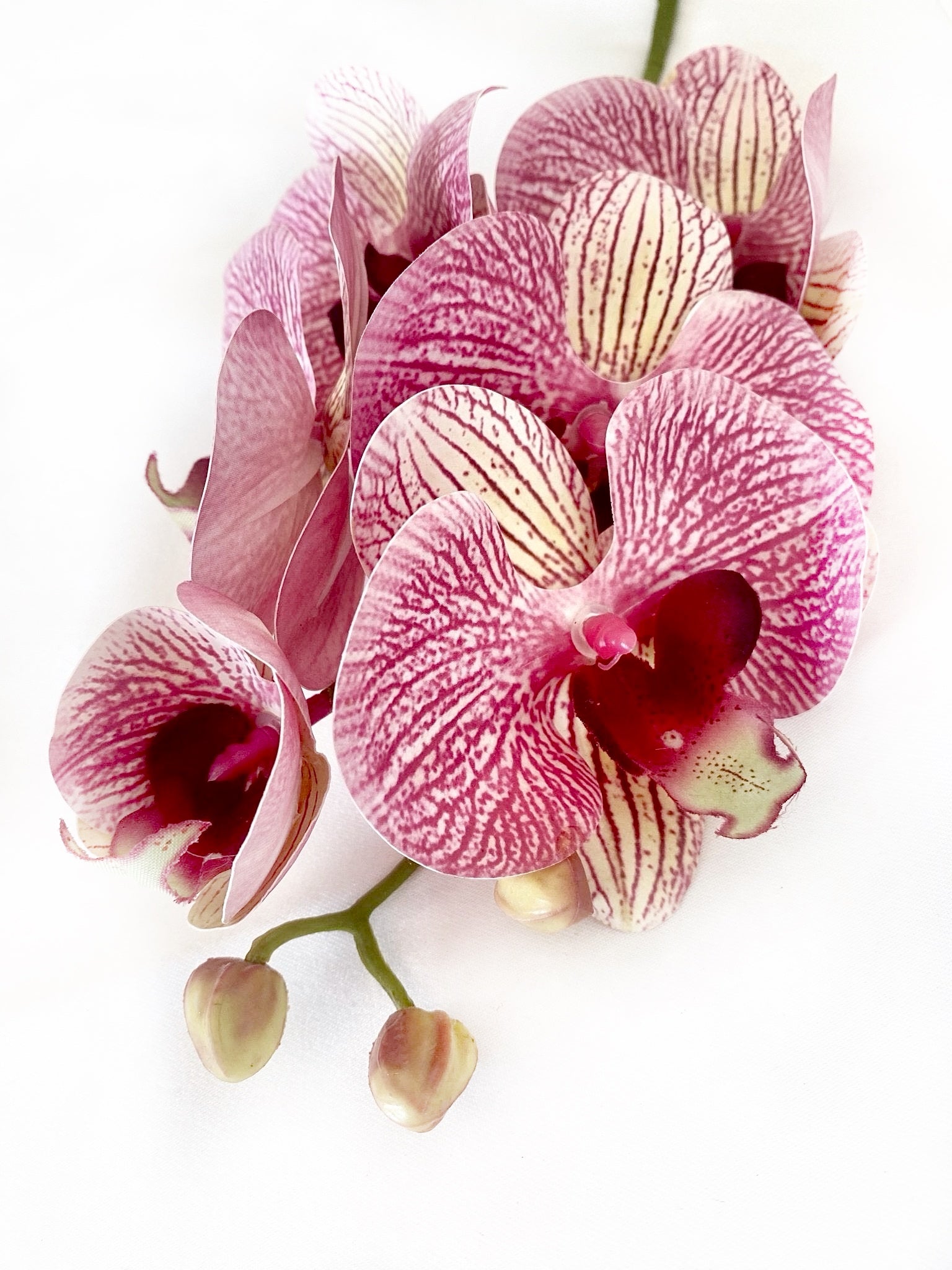 Artificial Orchid Flower, Gift for Her, Real Look Orchids, Pink Striped Orchid Stem, Phalaenopsis, Artificial Faux Orchid Flower - Elegantly You