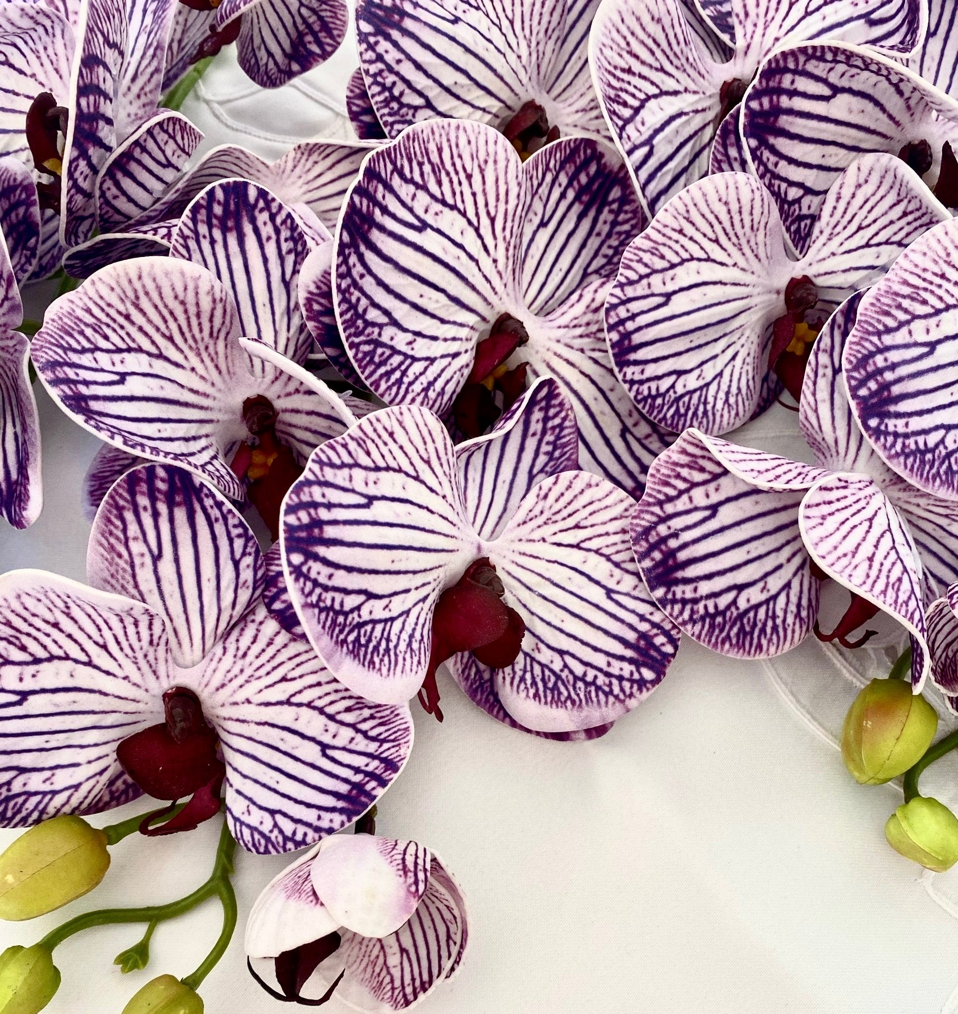 Artificial Orchid Flower, Gift for Her, Real Look Orchids, Purple Striped Orchid Stem, Phalaenopsis, Faux Orchid Flower - Elegantly You