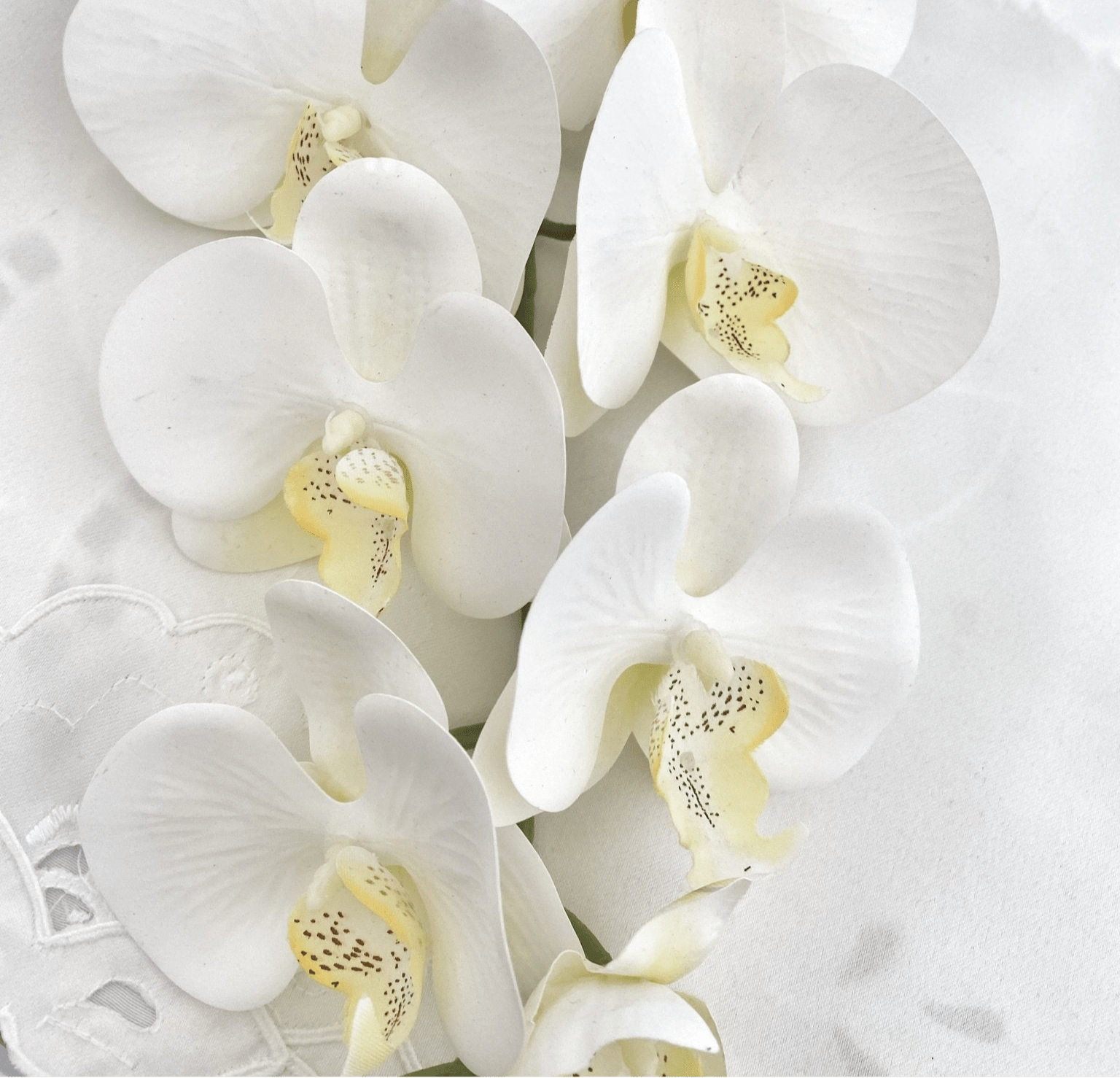 Artificial Orchid Flower Gift for Her, Real Look Orchids, White Orchid Phalaenopsis, Faux Orchid Stem Artificial Flowers White Flowers - Elegantly You