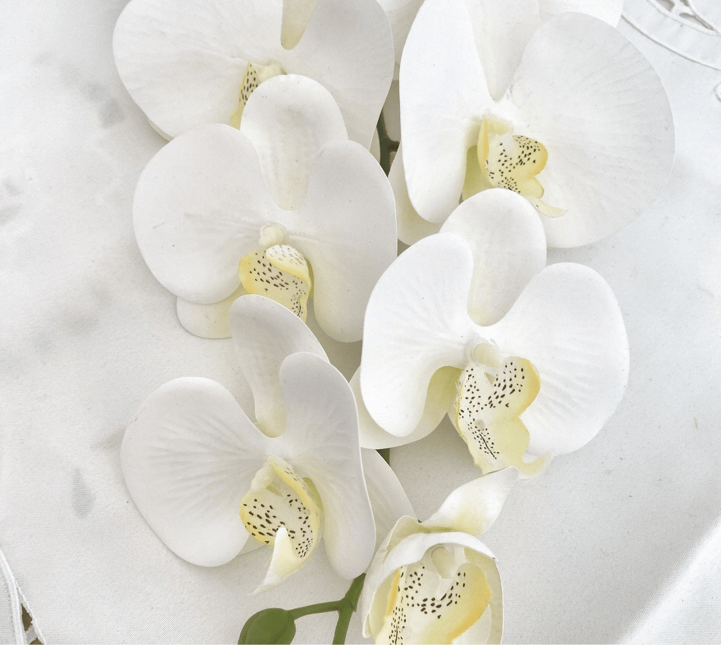 Artificial Orchid Flower Gift for Her, Real Look Orchids, White Orchid Phalaenopsis, Faux Orchid Stem Artificial Flowers White Flowers - Elegantly You