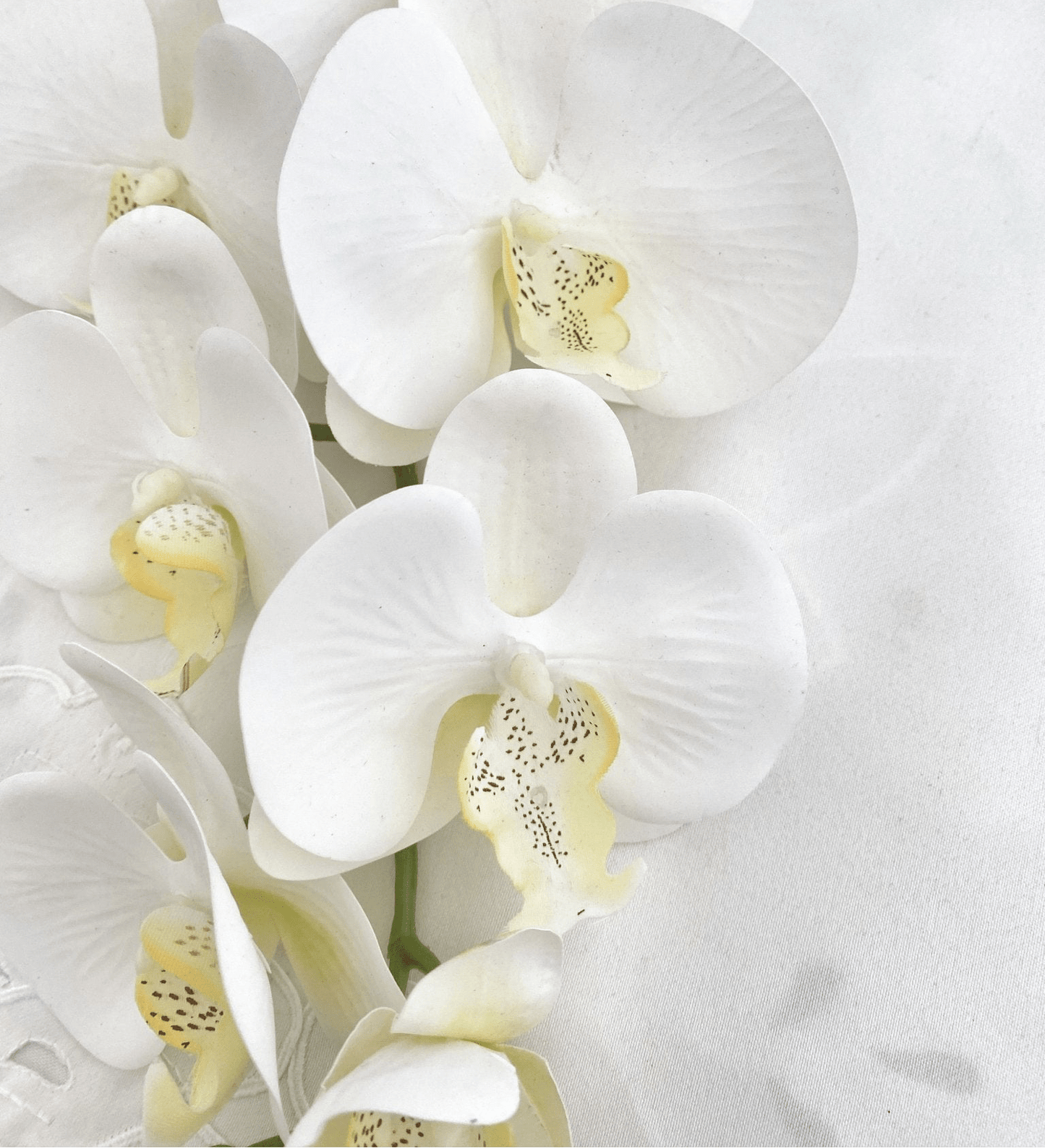 Artificial Orchid Flower Gift for Her, Real Look Orchids, White Orchid Phalaenopsis, Faux Orchid Stem Artificial Flowers White Flowers - Elegantly You
