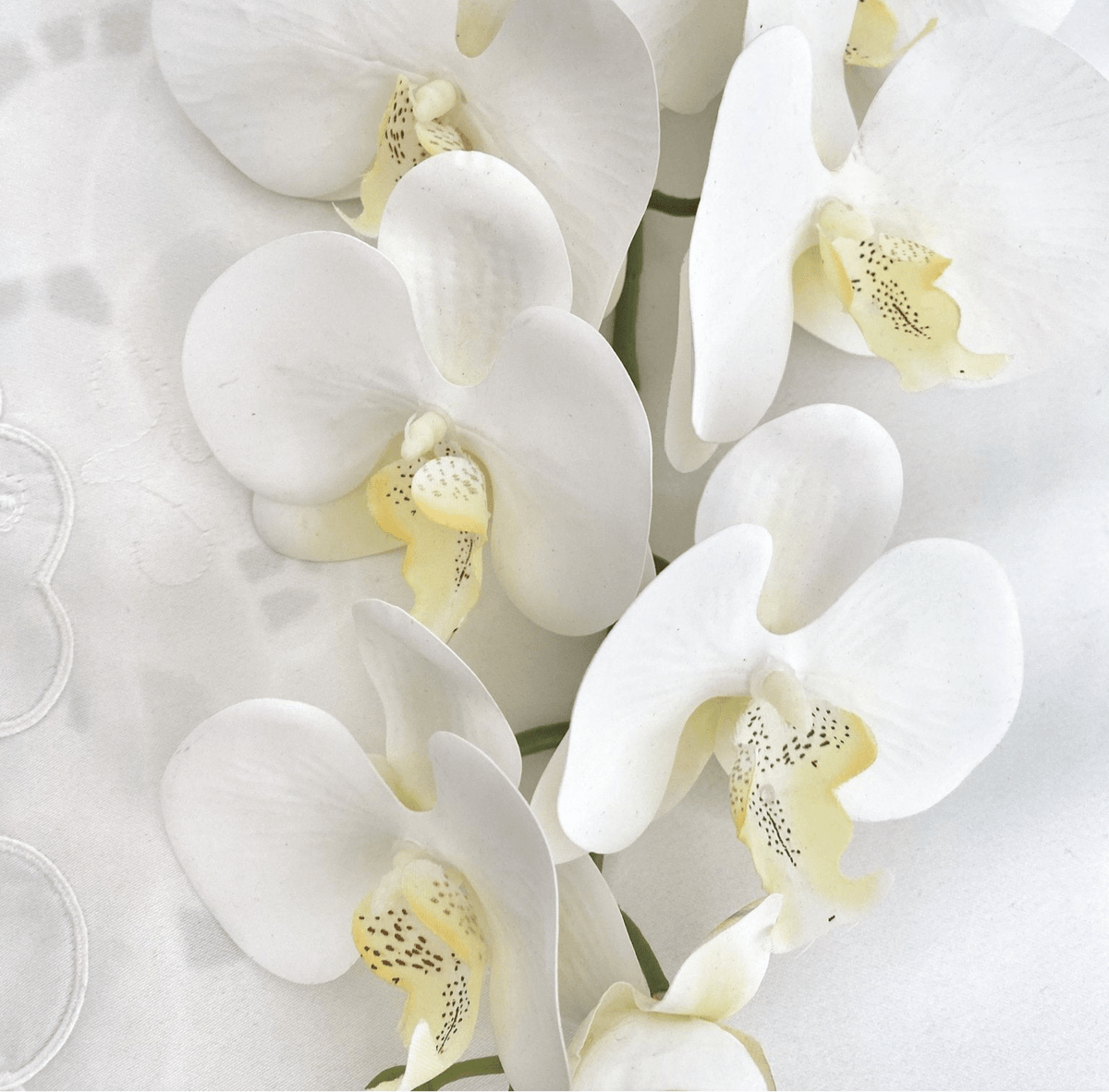 Künstliche Orchidee, Blumengeschenk für Sie, Orchideen im echten Look, – Elegantly You