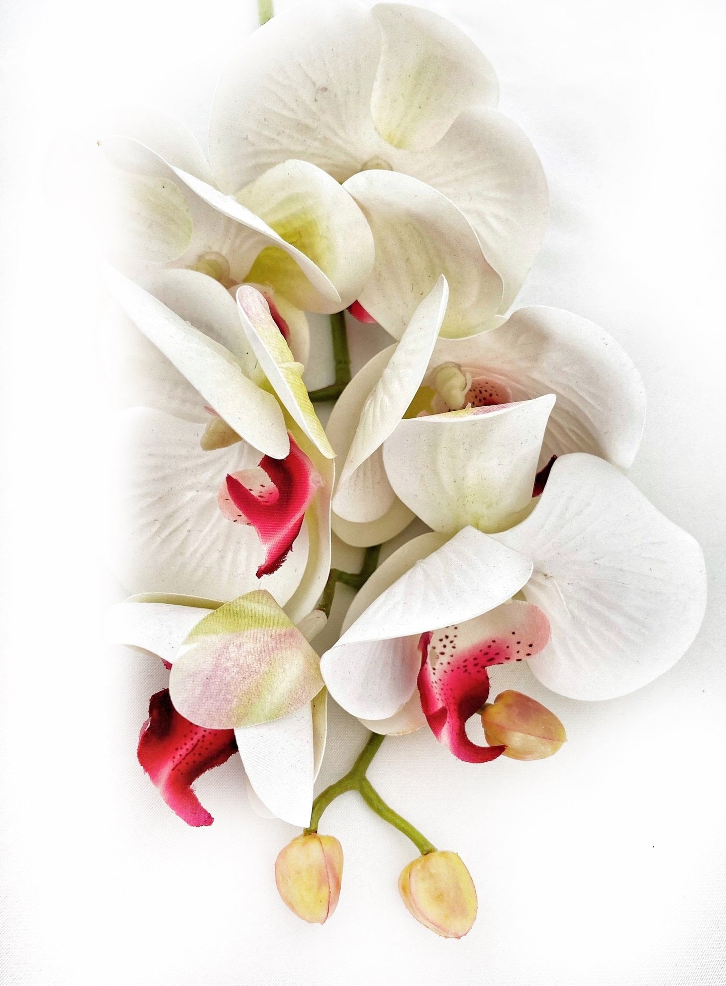 Artificial Orchid Flower Gift for Her, Real Touch Orchids, White & Pink Orchid Stem, Phalaenopsis, Faux Orchid, Artificial White Flowers - Elegantly You