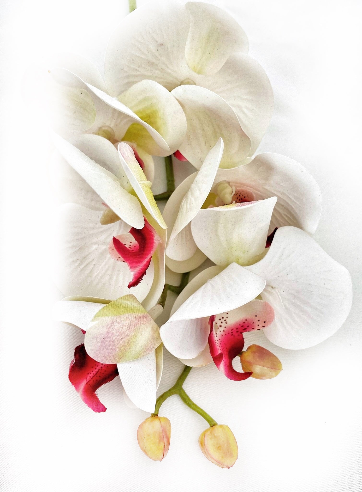 Artificial Orchid Flower Gift for Her, Real Touch Orchids, White & Pink Orchid Stem, Phalaenopsis, Faux Orchid, Artificial White Flowers - Elegantly You