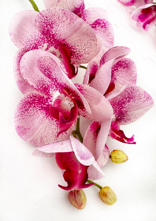 Artificial Orchid Flower, Pink Orchid Stem, Pink Flowers, Real Touch Orchids, Faux Orchid Artificial Flowers Gift for Her, Wedding Flowers, Home Decor - Elegantly You