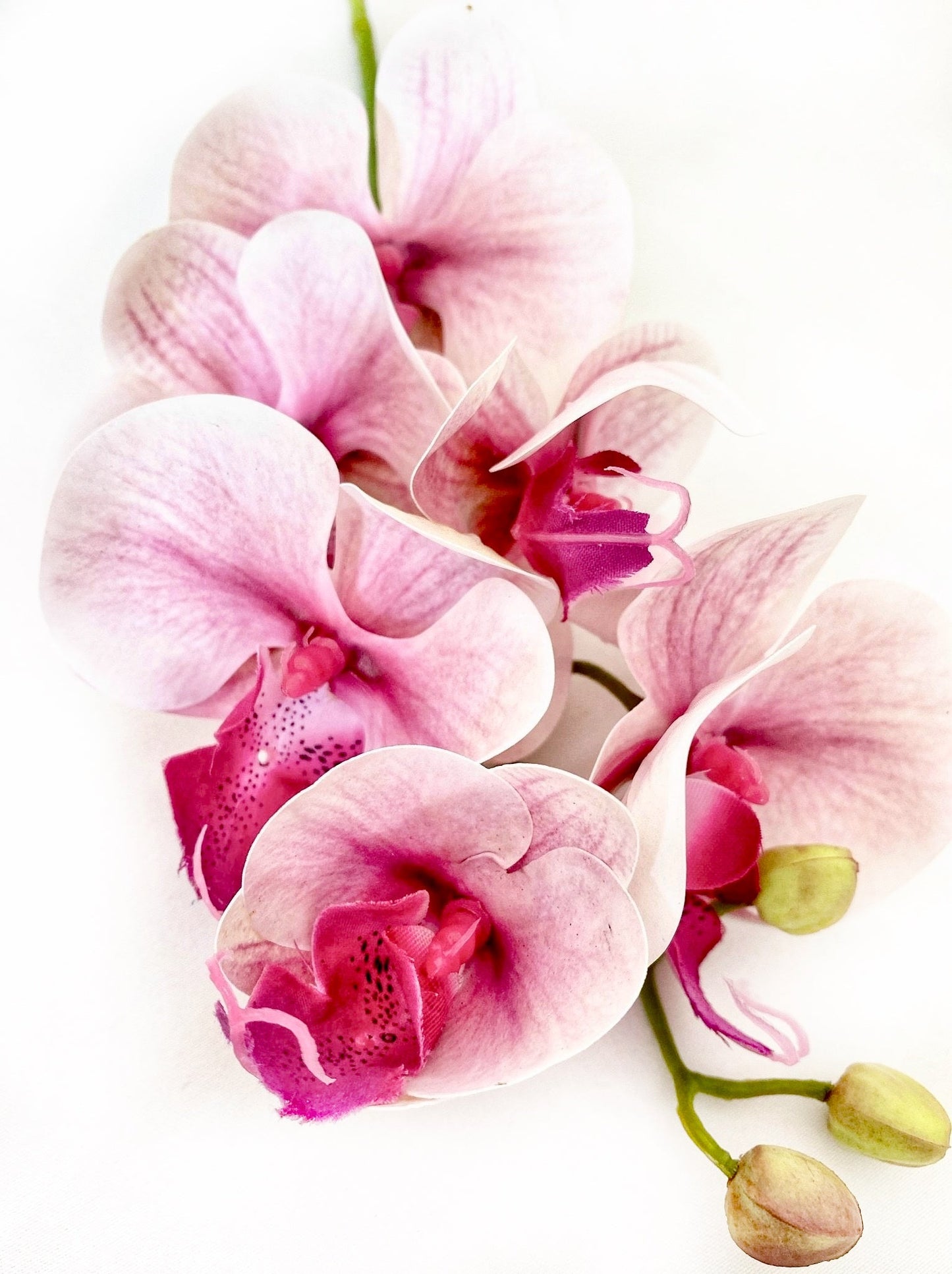 Artificial Orchid Flower, Real Touch Orchids, Variegated Pink Orchid Stem, Phalaenopsis Orchid Flower Artificial Flowers Pink Flowers, Gift for Her - Elegantly You