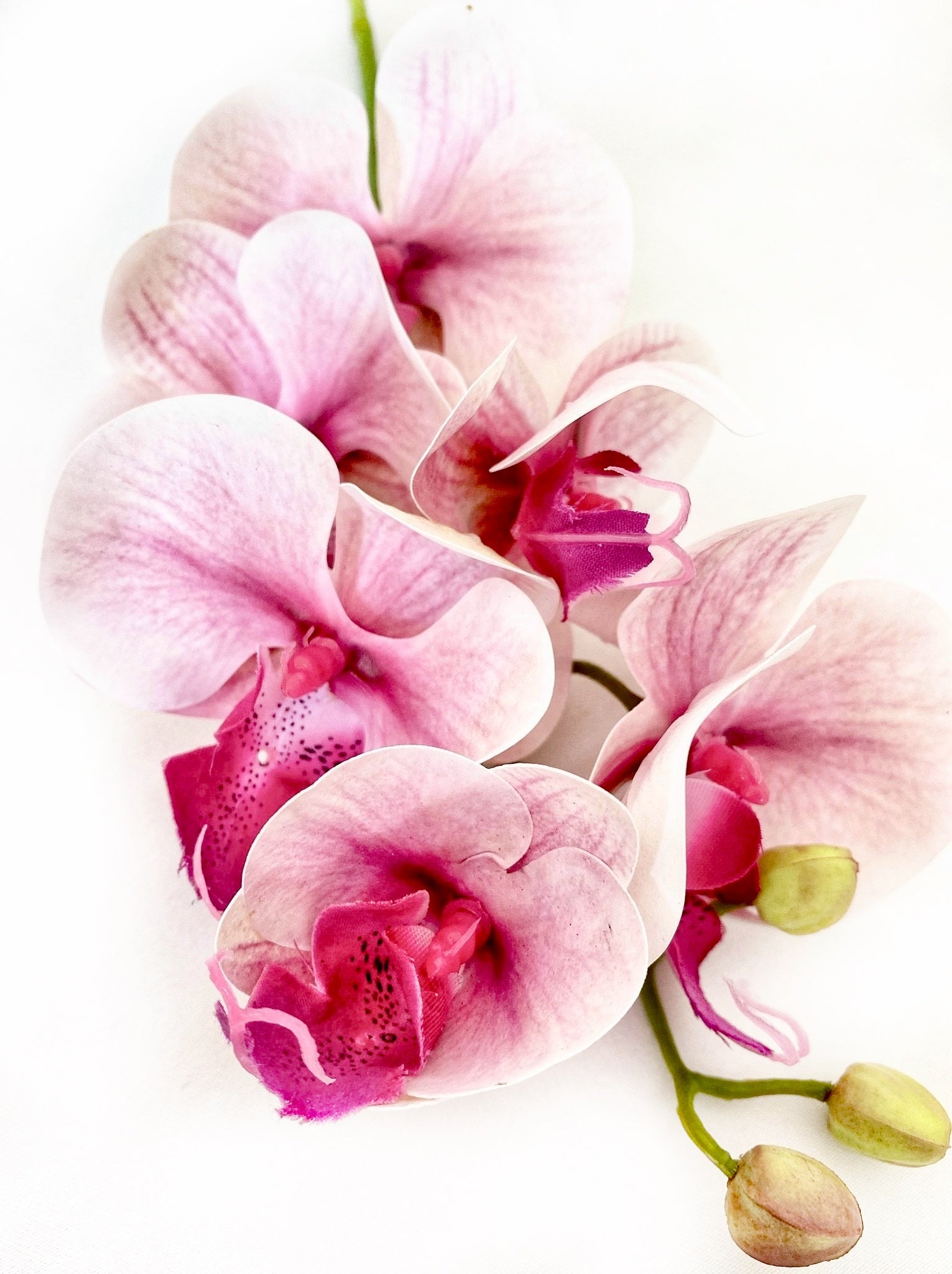 Artificial Orchid Flower, Real Touch Orchids, Variegated Pink Orchid Stem, Phalaenopsis Orchid Flower Artificial Flowers Pink Flowers, Gift for Her - Elegantly You