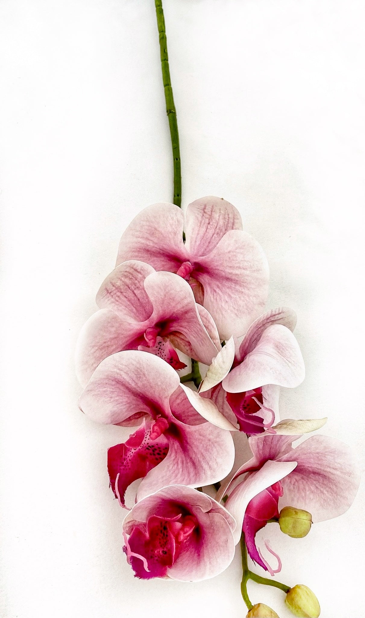 Artificial Orchid Flower, Real Touch Orchids, Variegated Pink Orchid Stem, Phalaenopsis Orchid Flower Artificial Flowers Pink Flowers, Gift for Her - Elegantly You