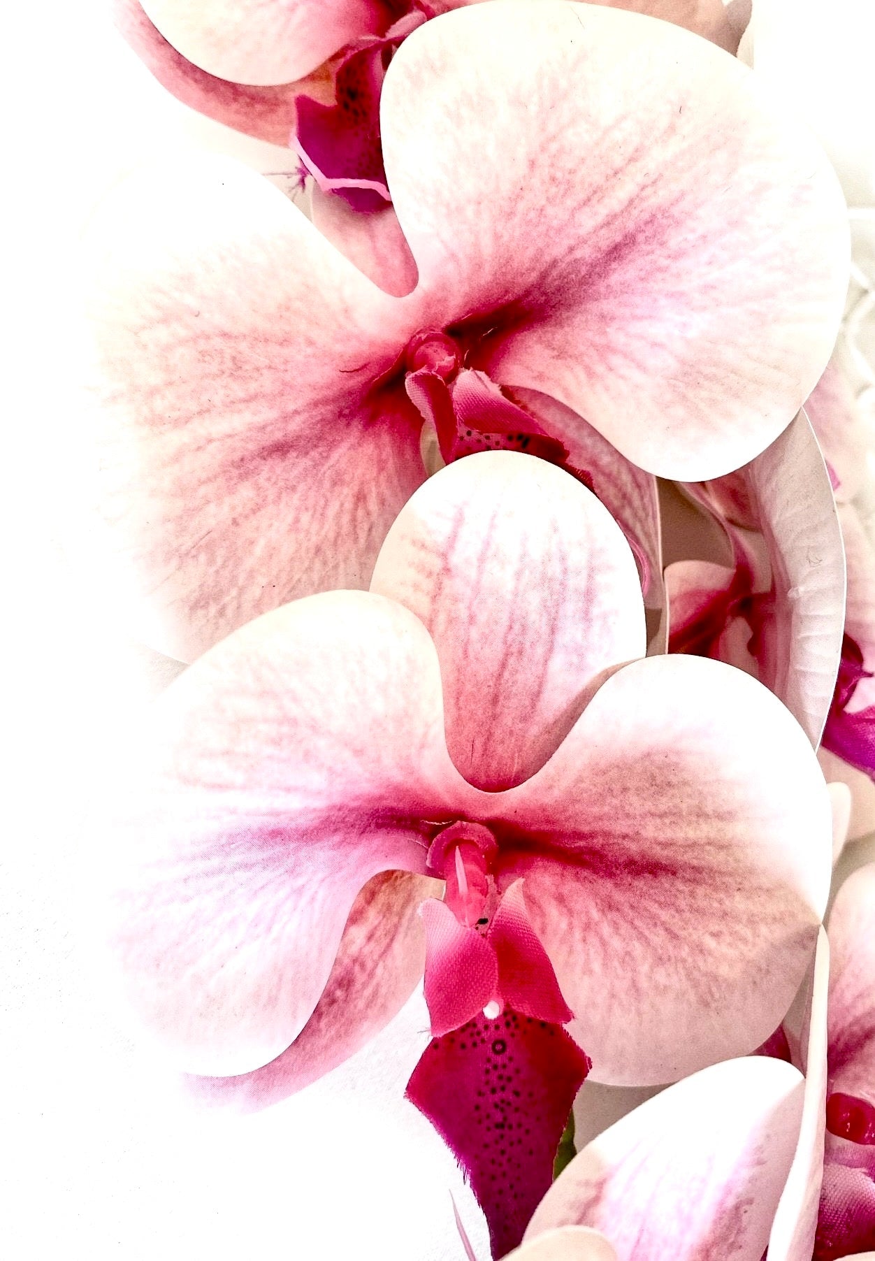 Artificial Orchid Flower, Real Touch Orchids, Variegated Pink Orchid Stem, Phalaenopsis Orchid Flower Artificial Flowers Pink Flowers, Gift for Her - Elegantly You