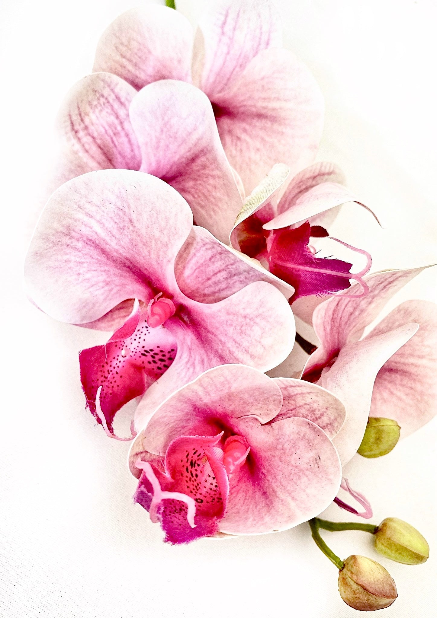 Artificial Orchid Flower, Real Touch Orchids, Variegated Pink Orchid Stem, Phalaenopsis Orchid Flower Artificial Flowers Pink Flowers, Gift for Her - Elegantly You