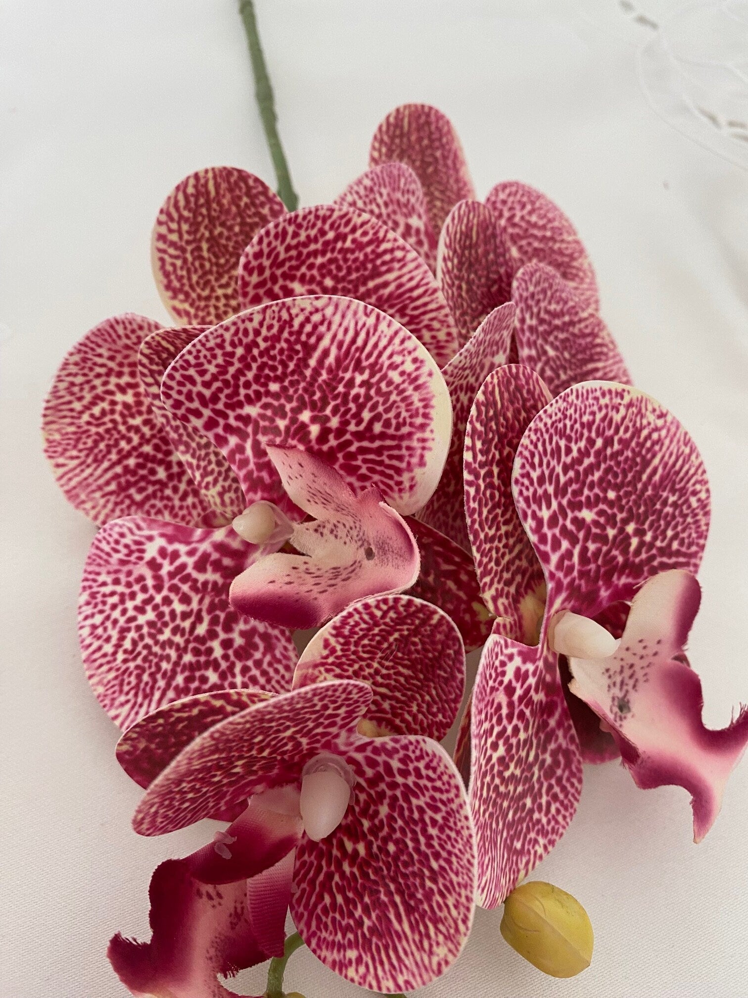 Artificial Orchid, Flowers Gift for Her, Real Look Orchids, Dark Pink Speckled Orchid, Artificial Flowers, Pink Flowers, Faux Orchid Flower - Floralific