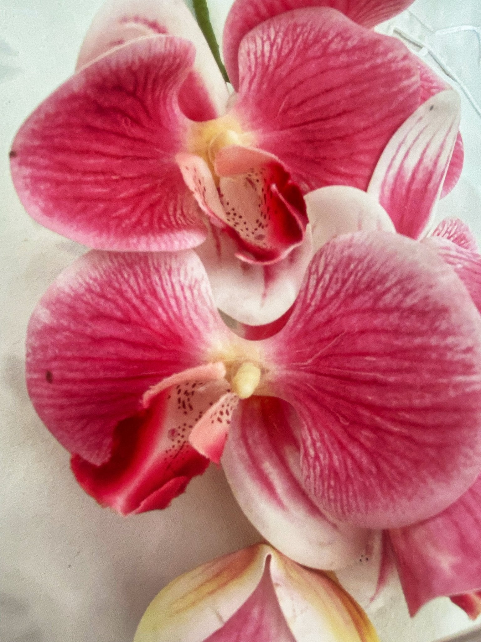 Artificial Orchid, Flowers Gift for Her, Real Touch Orchids, Pink Orchid Phalaenopsis, Artificial Flowers Faux Orchid, Pink Flowers, Wedding - Floralific