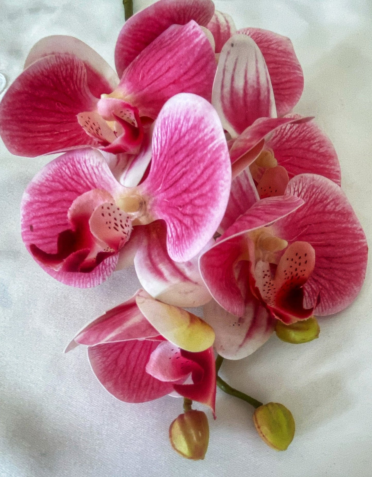 Artificial Orchid, Flowers Gift for Her, Real Touch Orchids, Pink Orchid Phalaenopsis, Artificial Flowers Faux Orchid, Pink Flowers, Wedding - Floralific