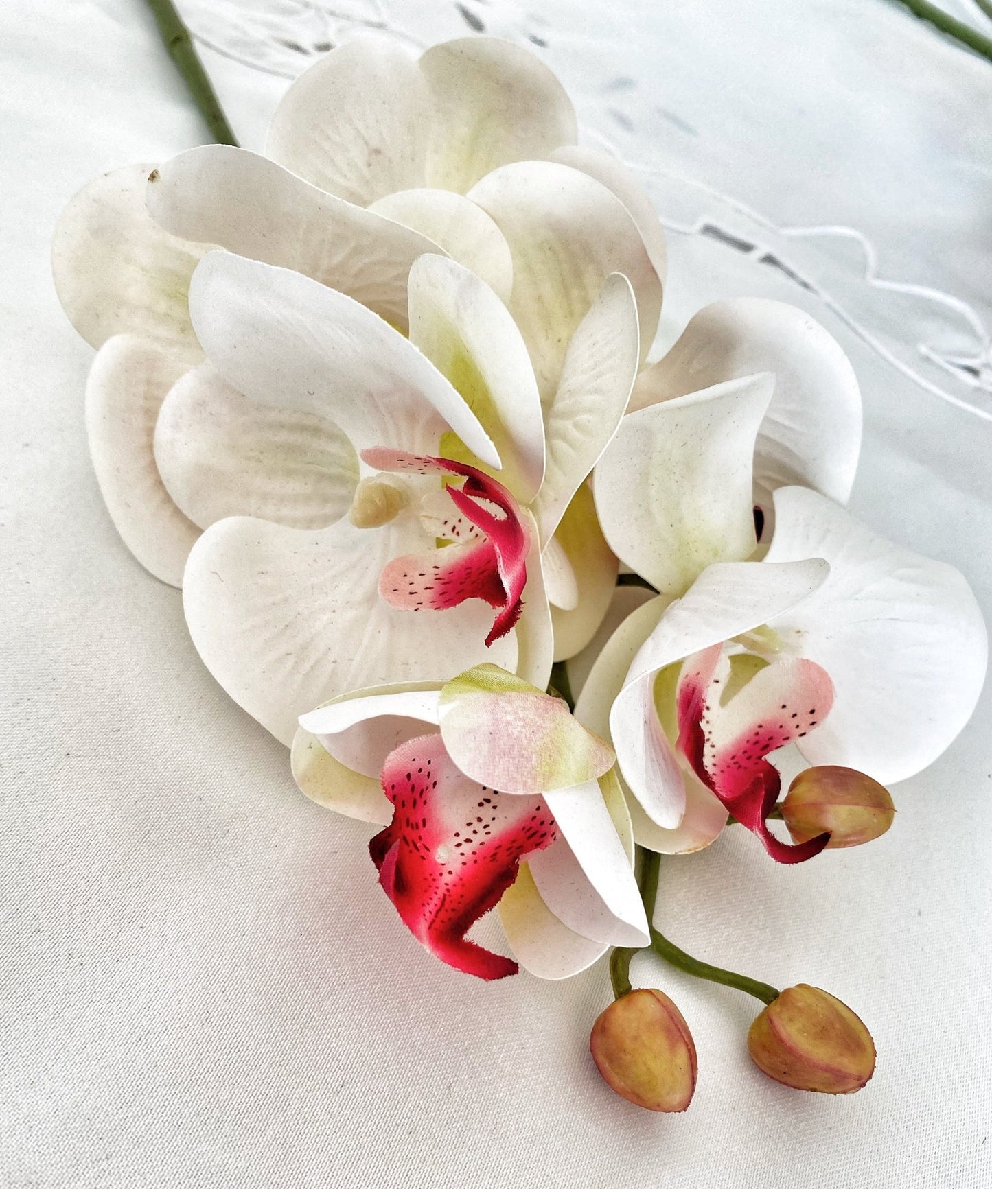 Artificial Orchid, Flowers Gift for Her, Real Touch Orchids, White & Pink Orchid, Phalaenopsis, Faux Orchid, Artificial White Flowers - Floralific