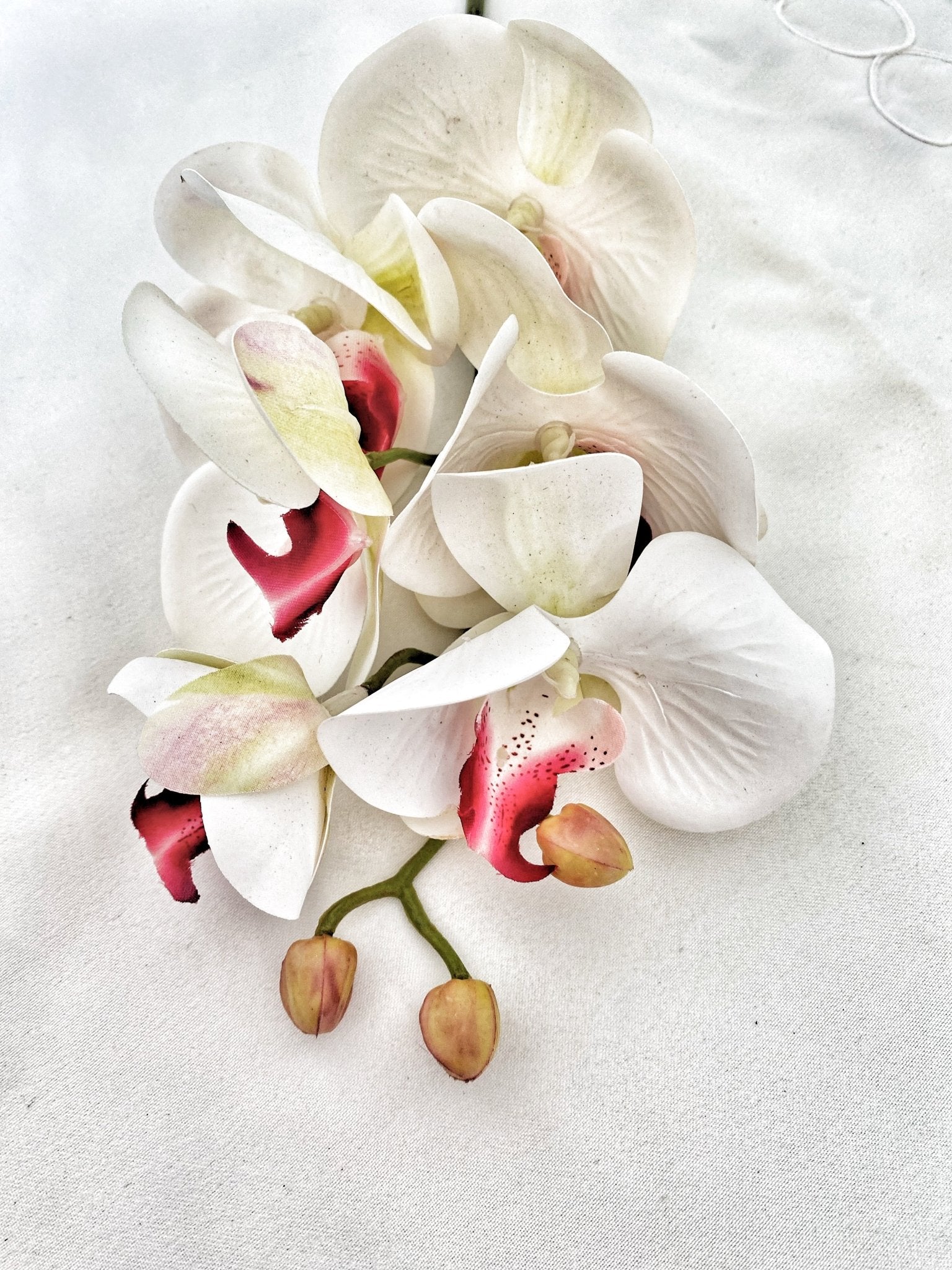 Artificial Orchid, Flowers Gift for Her, Real Touch Orchids, White & Pink Orchid, Phalaenopsis, Faux Orchid, Artificial White Flowers - Floralific