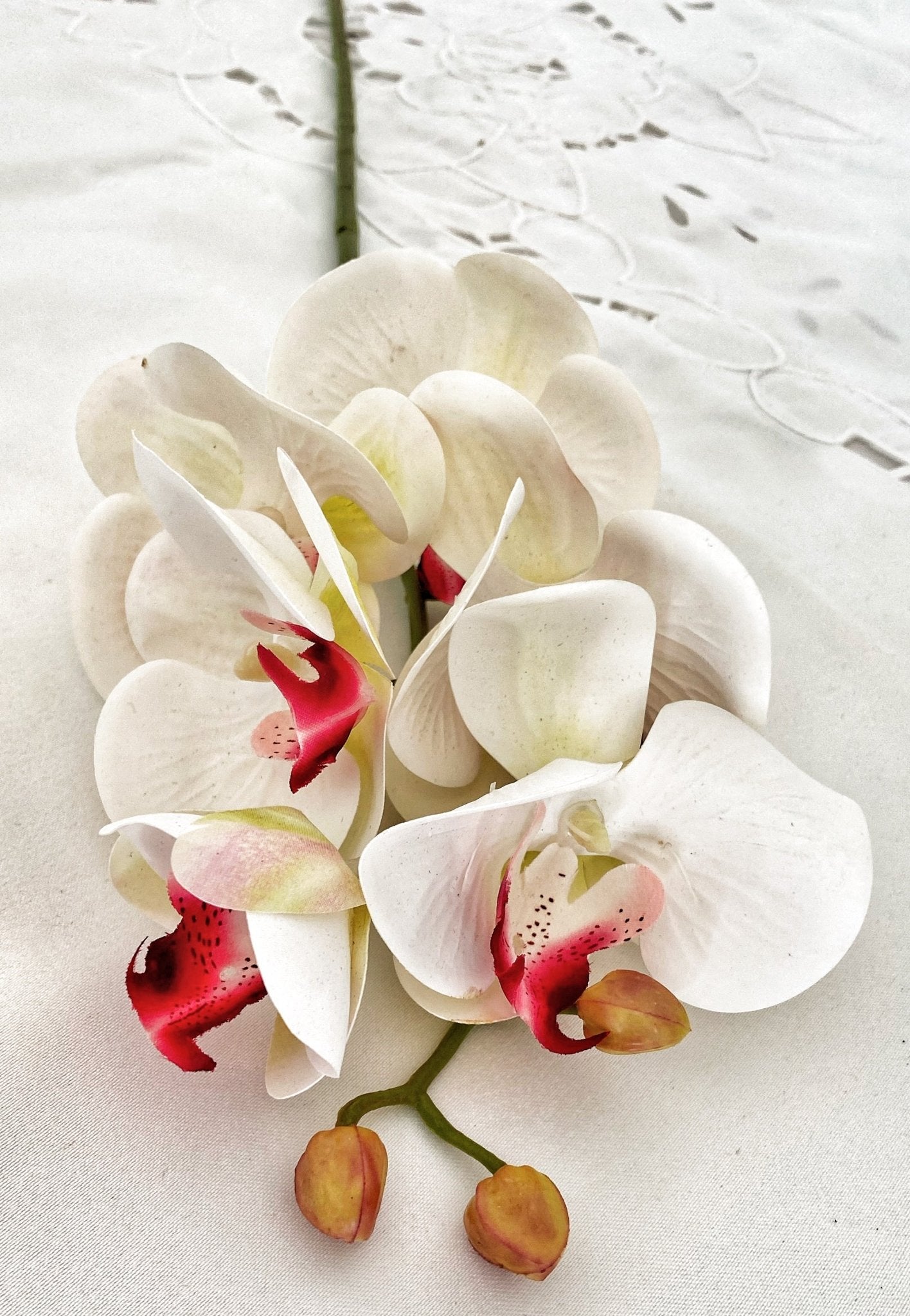 Artificial Orchid, Flowers Gift for Her, Real Touch Orchids, White & Pink Orchid, Phalaenopsis, Faux Orchid, Artificial White Flowers - Floralific