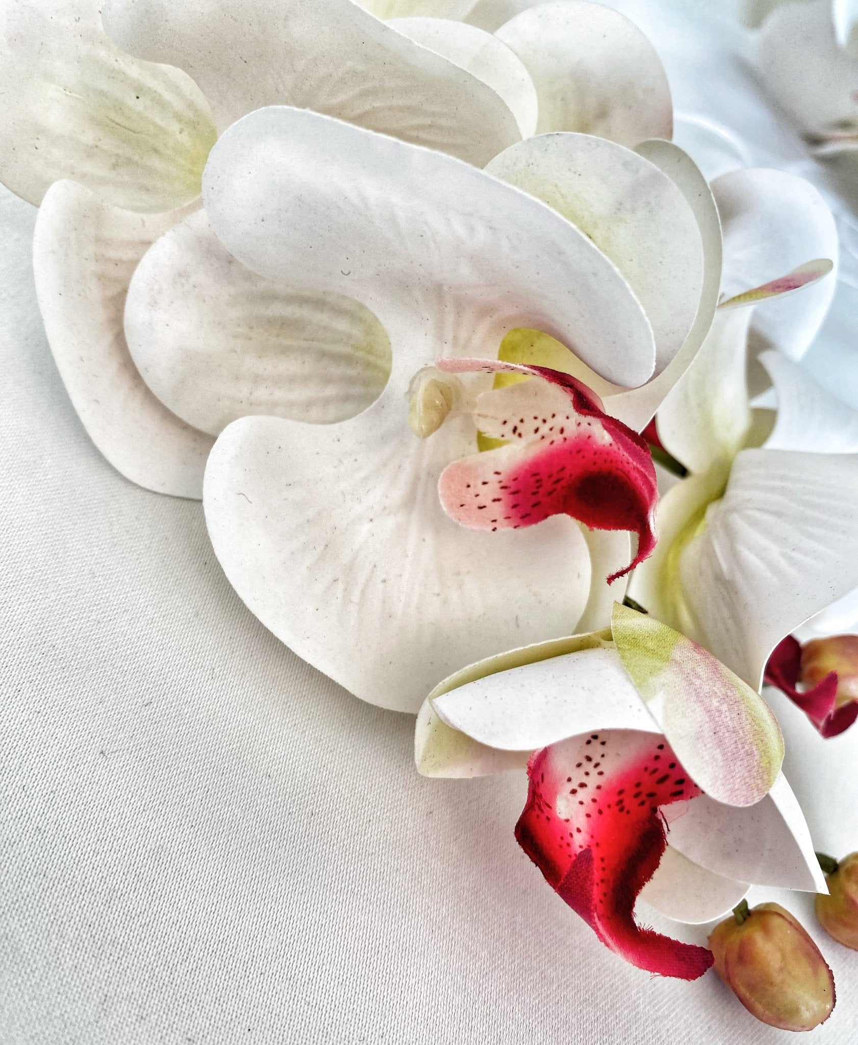 Artificial Orchid, Flowers Gift for Her, Real Touch Orchids, White & Pink Orchid, Phalaenopsis, Faux Orchid, Artificial White Flowers - Floralific