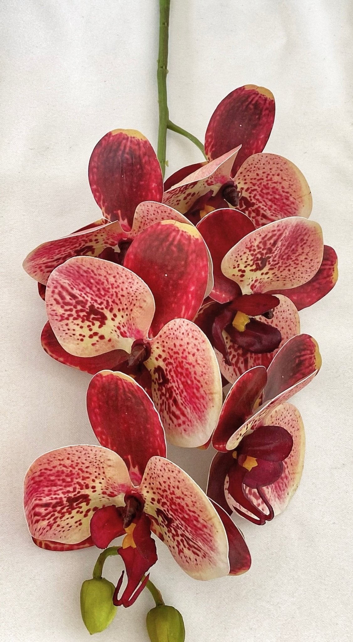 Artificial Orchid, Gift for Her, Red Spotted Orchid, Orchid Plant Leaves, Orchid Artificial Flowers Red Flowers for Flower Arranging - Floralific