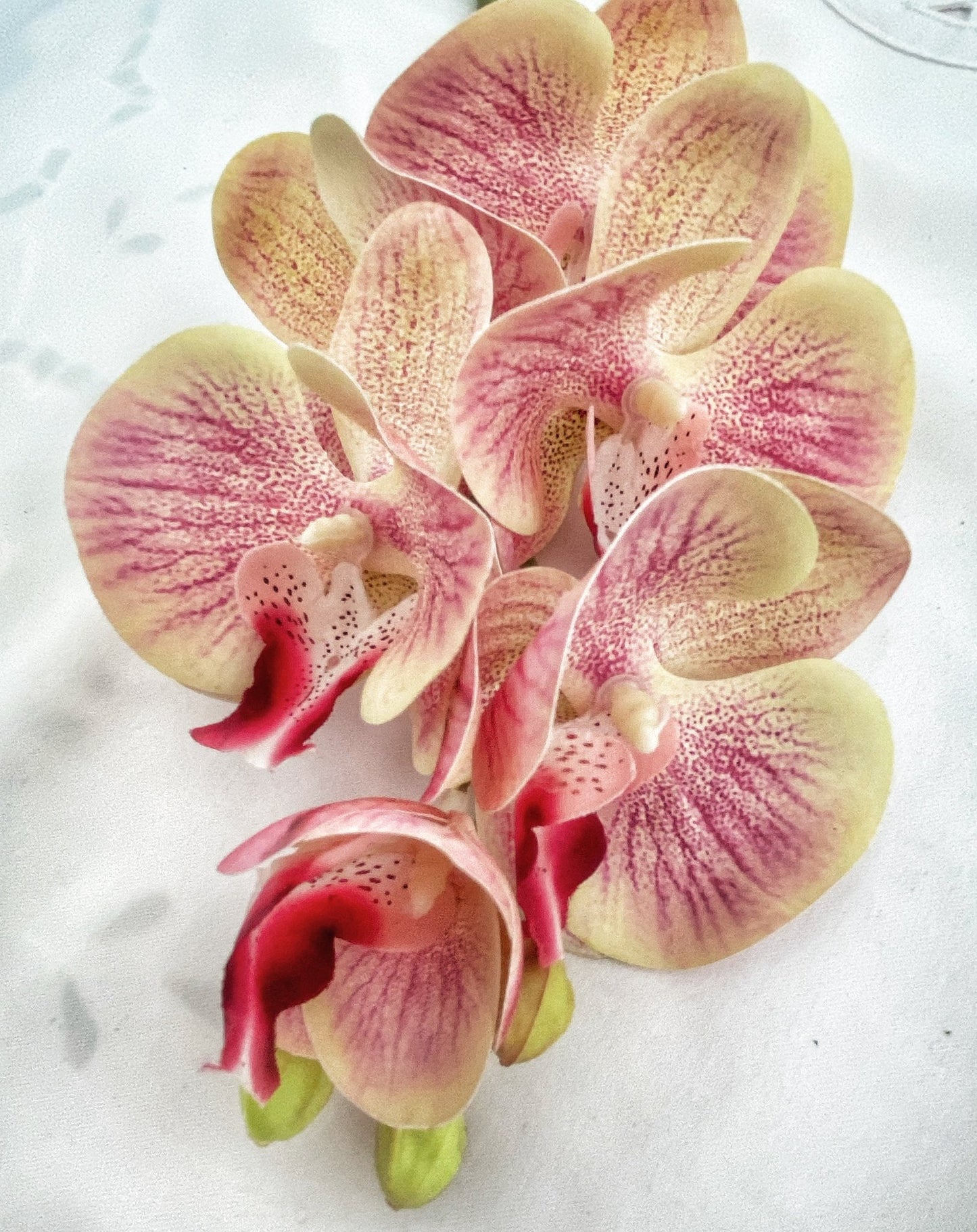 Artificial Orchid, Make your own Plant, Gift for Her, Real Look Orchids, Pink Orchid, Leaves, Phalaenopsis, Artificial Flowers Faux Orchid - Floralific