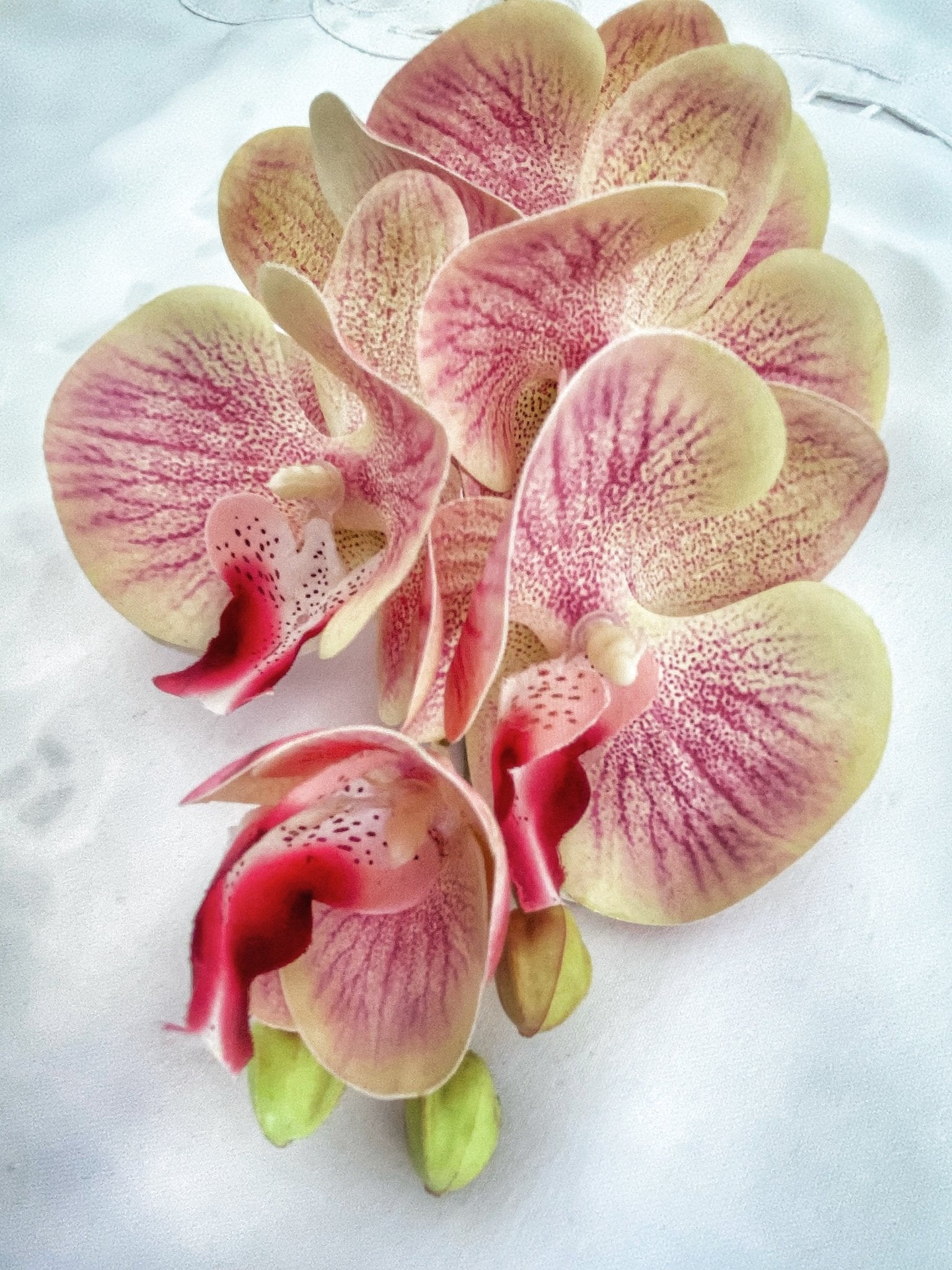 Artificial Orchid, Make your own Plant, Gift for Her, Real Look Orchids, Pink Orchid, Leaves, Phalaenopsis, Artificial Flowers Faux Orchid - Floralific