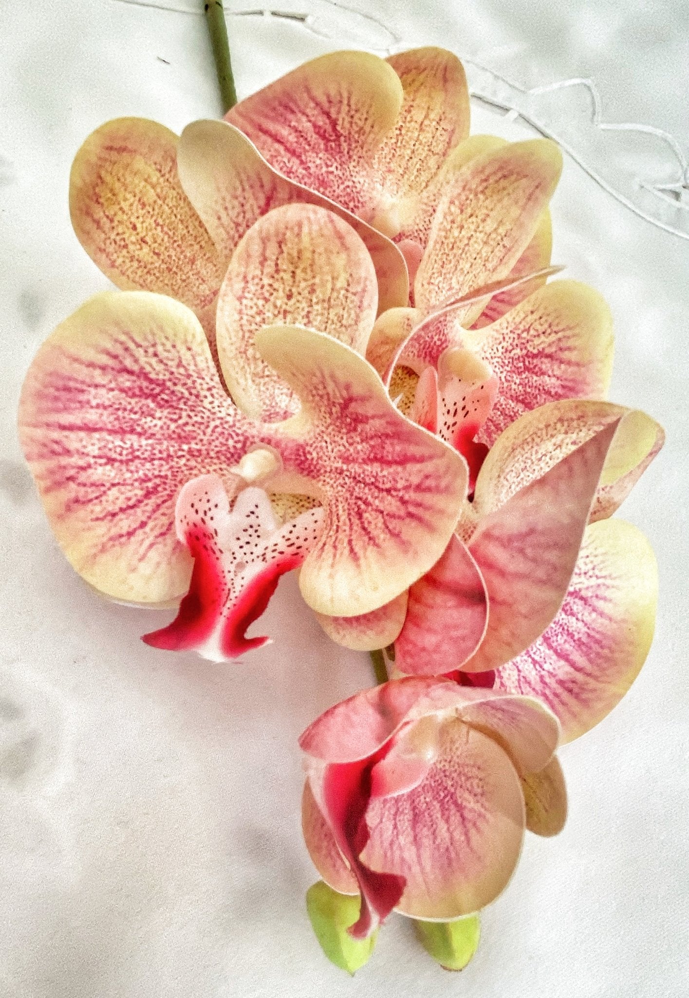 Artificial Orchid, Make your own Plant, Gift for Her, Real Look Orchids, Pink Orchid, Leaves, Phalaenopsis, Artificial Flowers Faux Orchid - Floralific