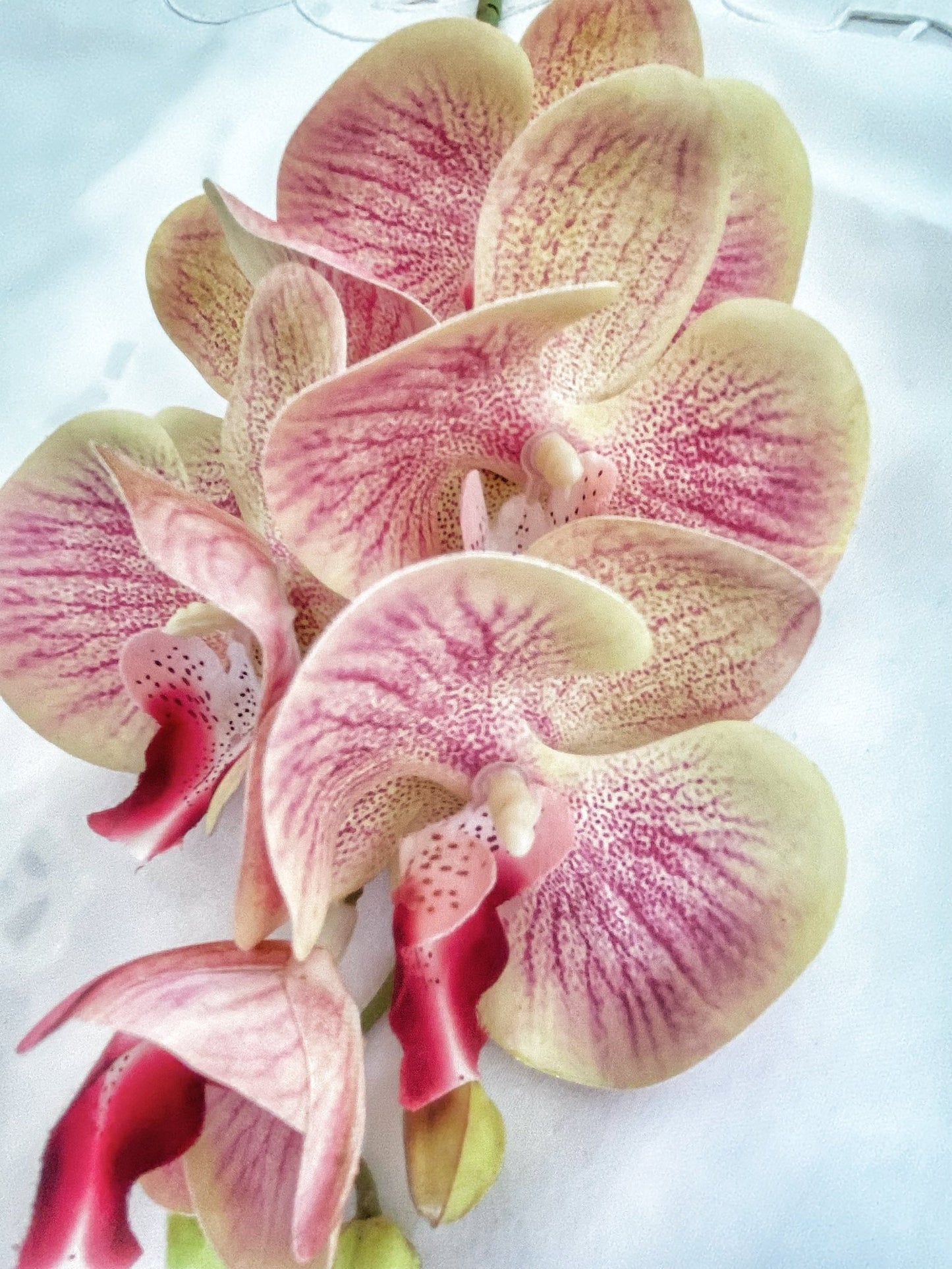 Artificial Orchid, Make your own Plant, Gift for Her, Real Look Orchids, Pink Orchid, Leaves, Phalaenopsis, Artificial Flowers Faux Orchid - Floralific