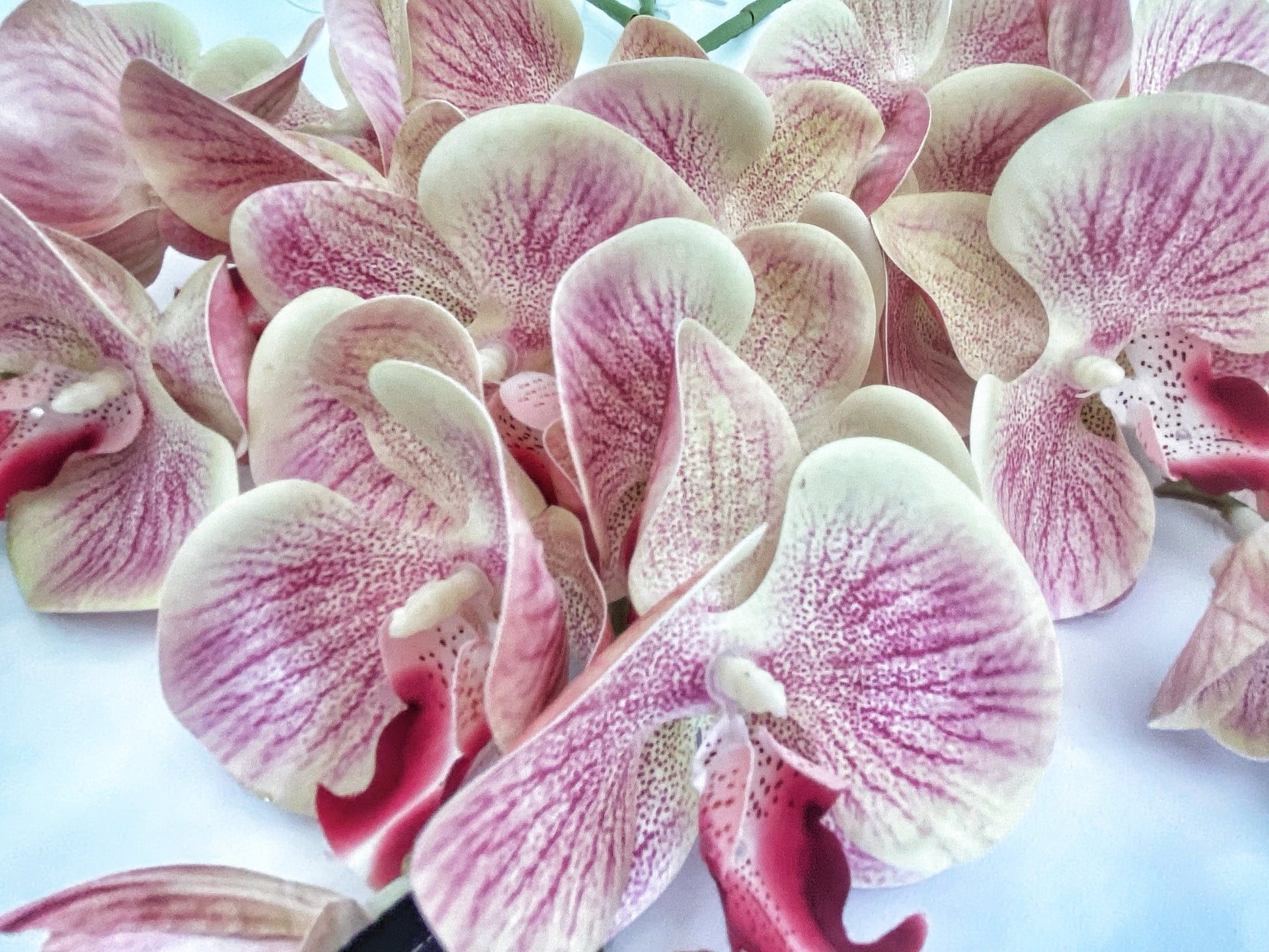 Artificial Orchid, Make your own Plant, Gift for Her, Real Look Orchids, Pink Orchid, Leaves, Phalaenopsis, Artificial Flowers Faux Orchid - Floralific