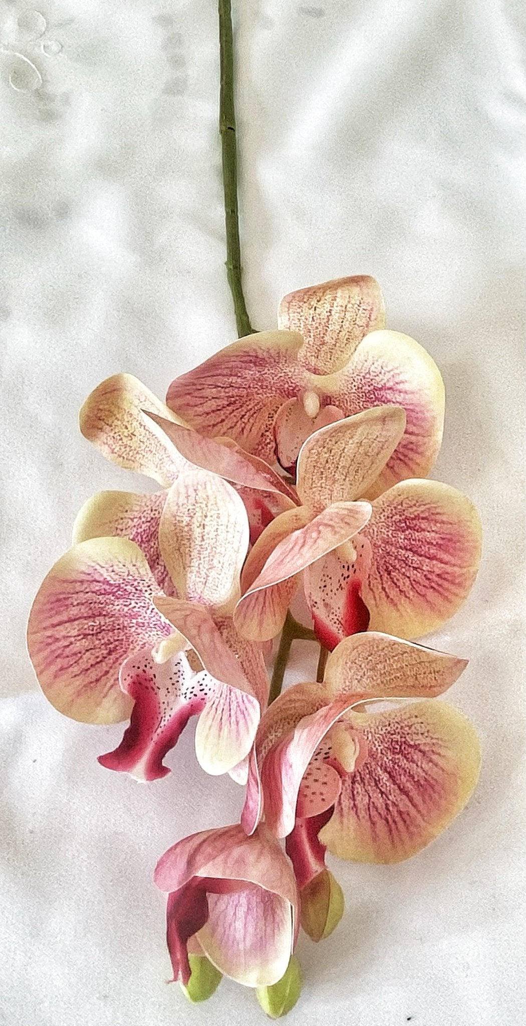 Artificial Orchid, Make your own Plant, Gift for Her, Real Look Orchids, Pink Orchid, Leaves, Phalaenopsis, Artificial Flowers Faux Orchid - Floralific