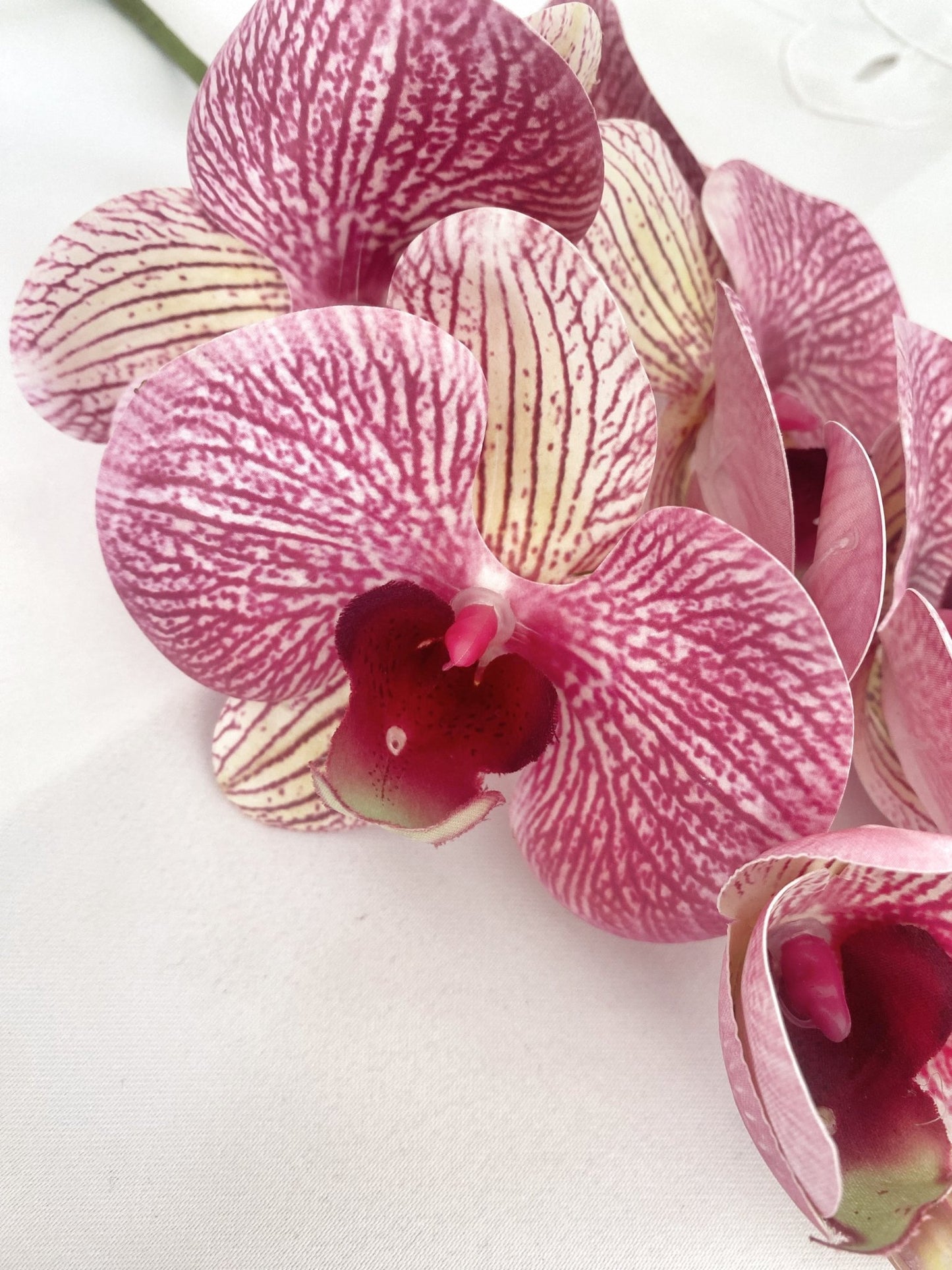 Artificial Orchid, Make your own Plant, Gift for Her, Real Look Orchids, Pink Striped Orchid, Phalaenopsis, Artificial Faux Orchid Flower - Floralific