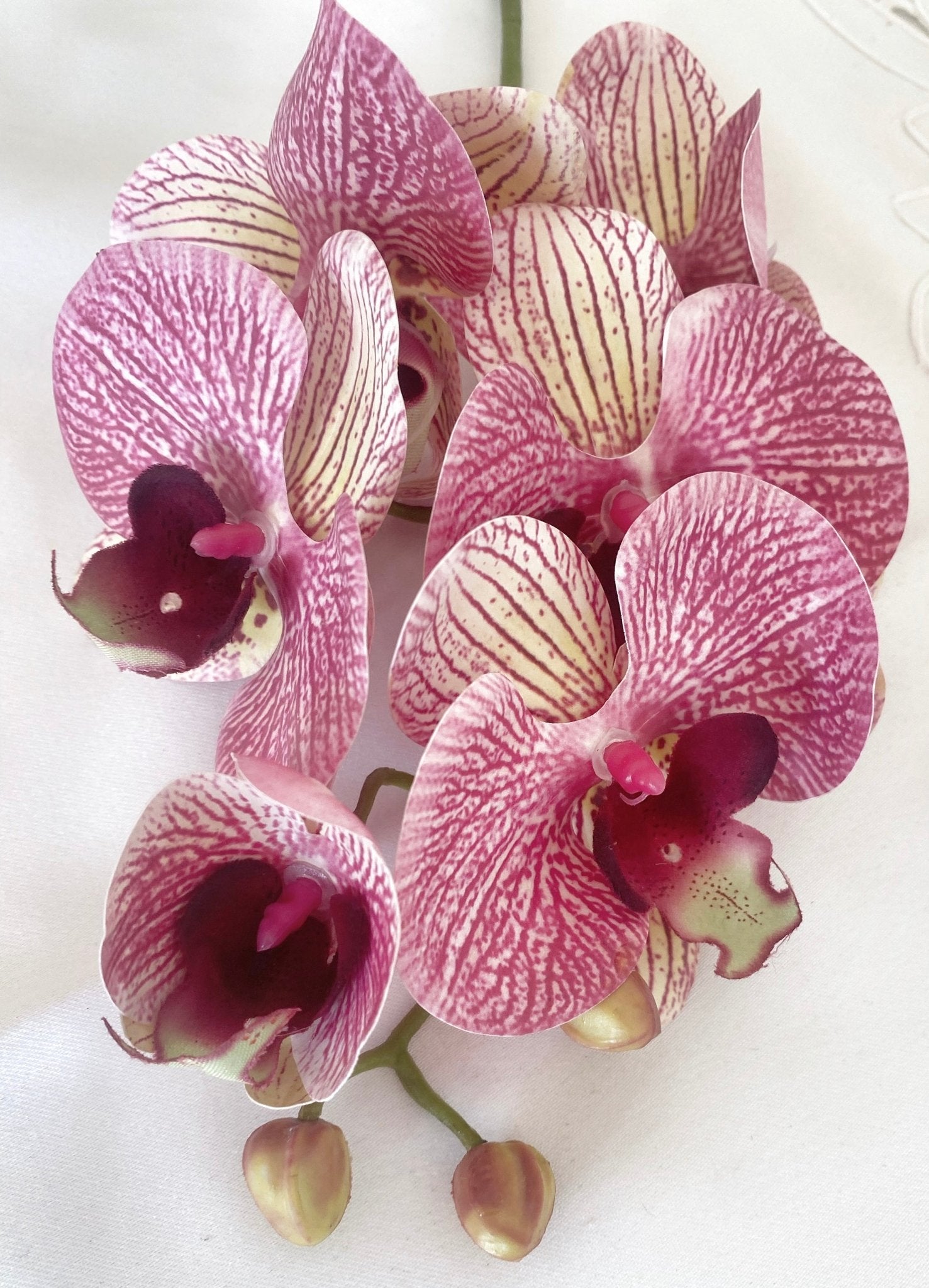 Artificial Orchid, Make your own Plant, Gift for Her, Real Look Orchids, Pink Striped Orchid, Phalaenopsis, Artificial Faux Orchid Flower - Floralific