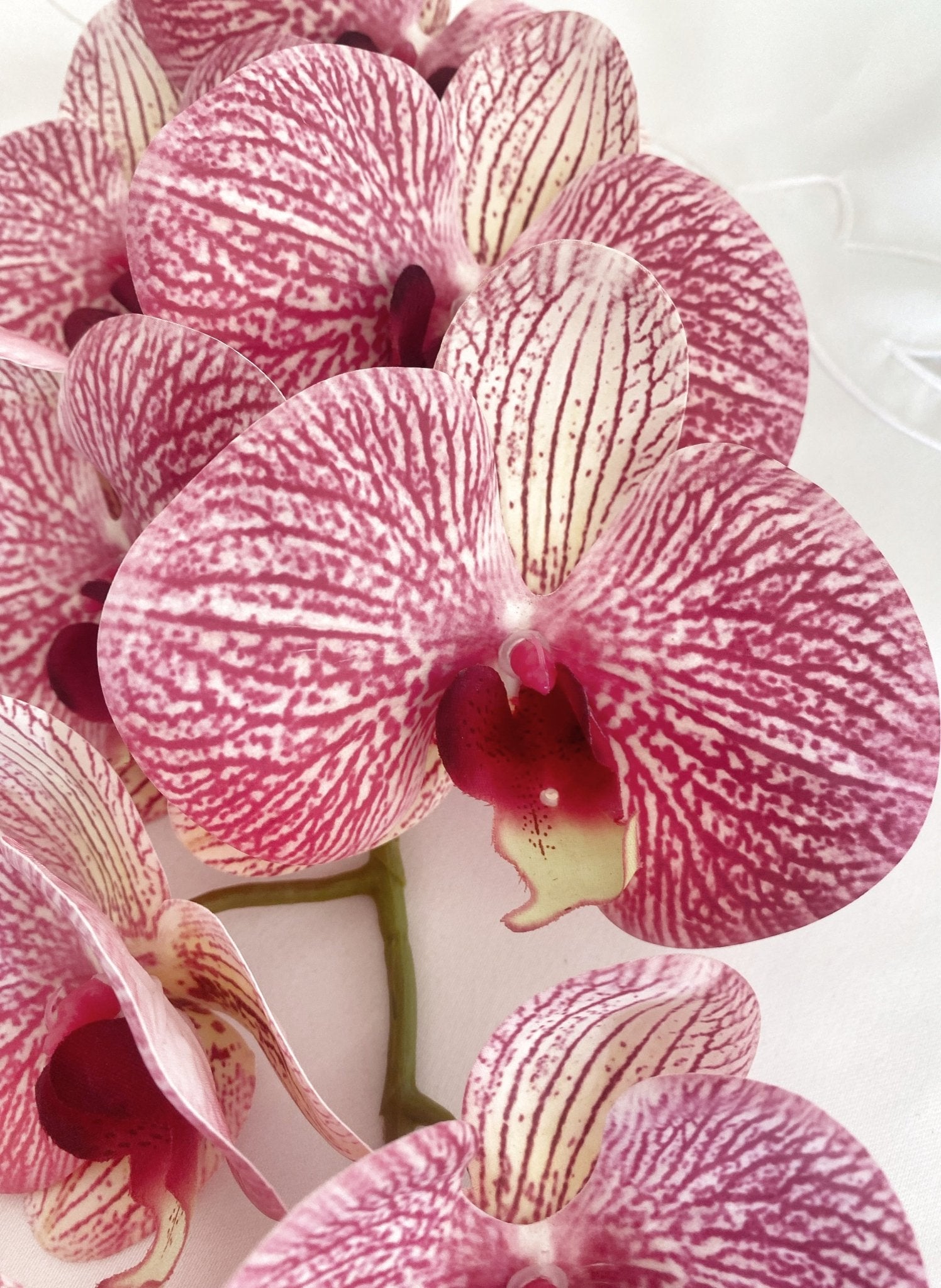 Artificial Orchid, Make your own Plant, Gift for Her, Real Look Orchids, Pink Striped Orchid, Phalaenopsis, Artificial Faux Orchid Flower - Floralific