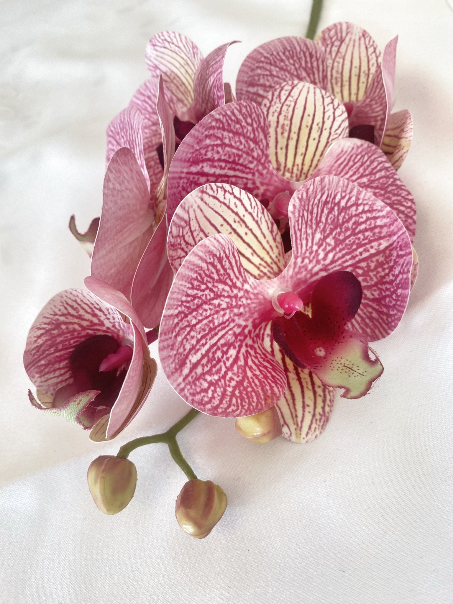 Artificial Orchid, Make your own Plant, Gift for Her, Real Look Orchids, Pink Striped Orchid, Phalaenopsis, Artificial Faux Orchid Flower - Floralific