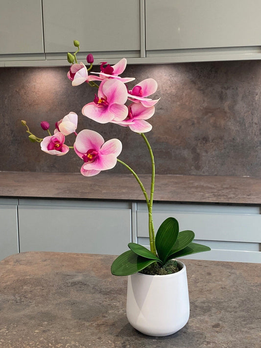 Artificial Orchid Plant, Gift for Her, Real Look Orchids, Pink Orchid Pot Plant, Phalaenopsis, Artificial Flowers, Silk, Faux Orchid - Floralific