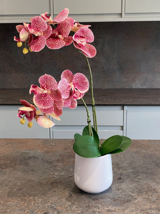 Artificial Orchid Plant, Gift for Her, Real Look Orchids, Spotted Pink Orchid Pot Plant, Phalaenopsis, Artificial Flowers, Faux Orchid - Floralific