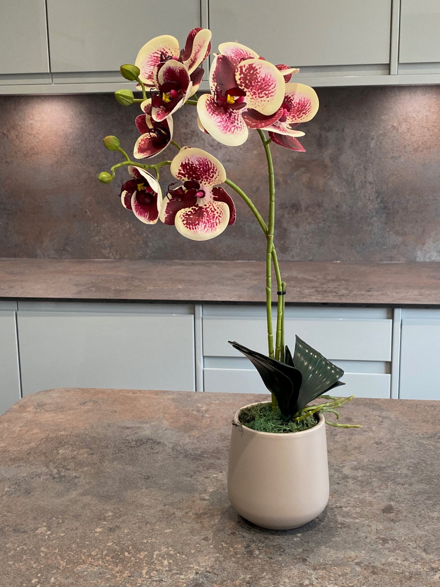 Artificial Orchid Plant, Gift for Her, Real Look Orchids, Spotted Red Orchid Pot Plant, Phalaenopsis, Artificial Flowers, Faux Orchid - Floralific