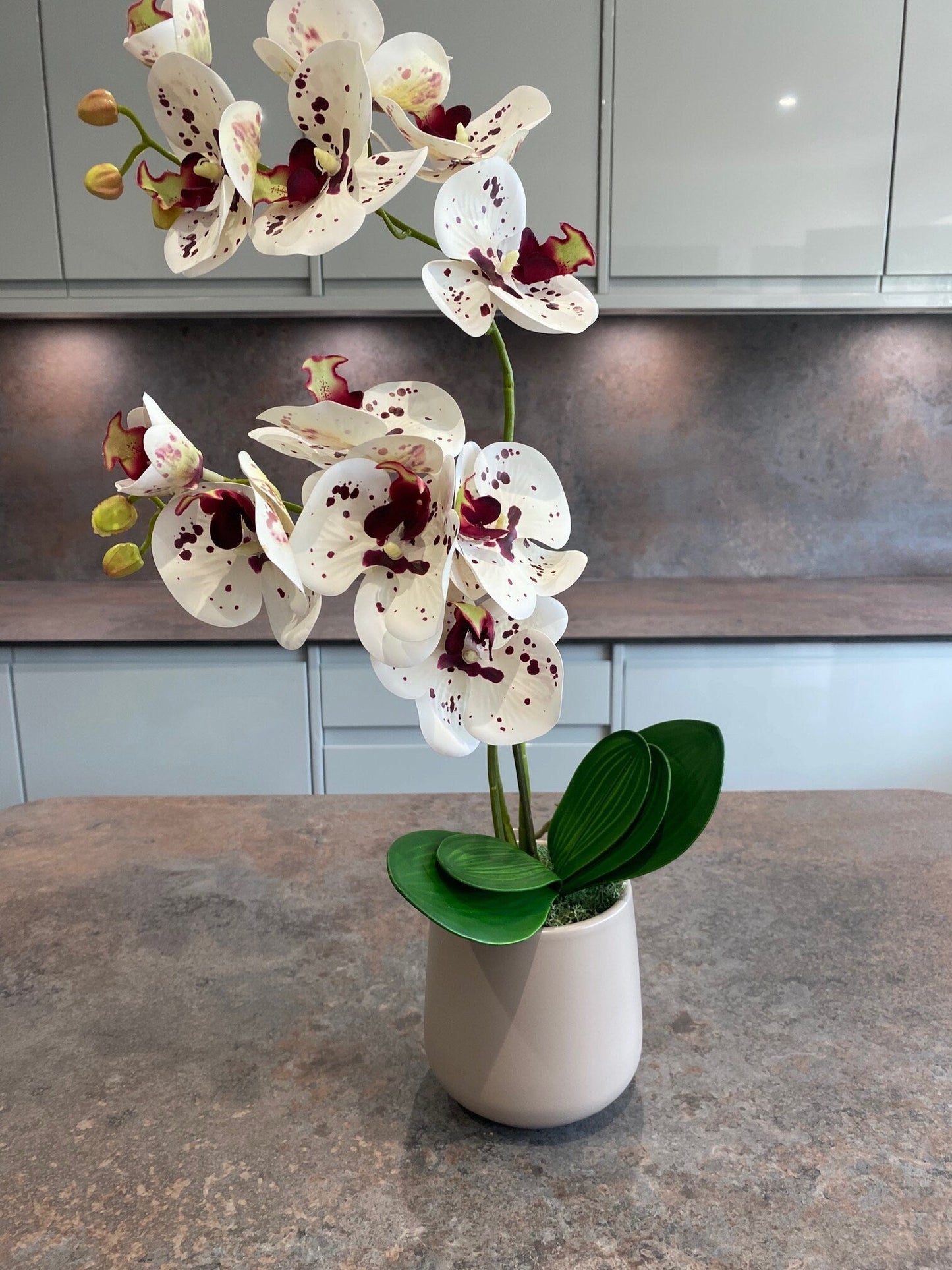 Artificial Orchid Plant, Gift for Her, Real Look Orchids, White Spotted Orchid Pot Plant, Phalaenopsis, Artificial Flowers, Faux Orchid - Floralific