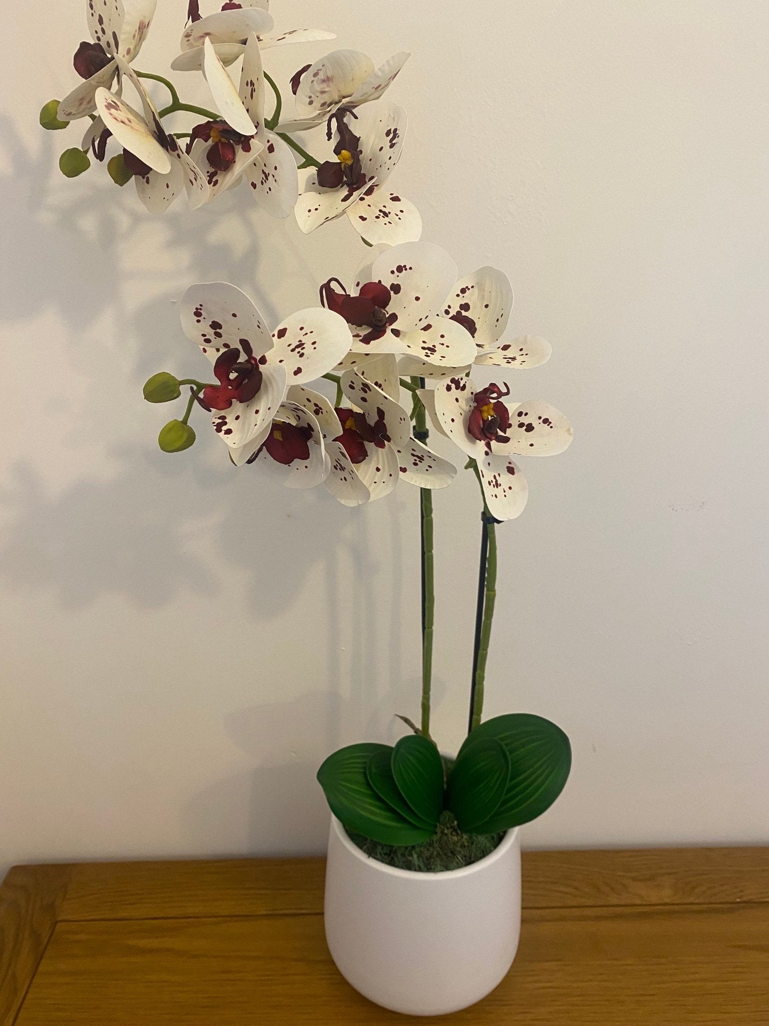 Artificial Orchid Plant, Gift for Her, Real Look Orchids, White Spotted Orchid Pot Plant, Phalaenopsis, Artificial Flowers, Faux Orchid - Floralific