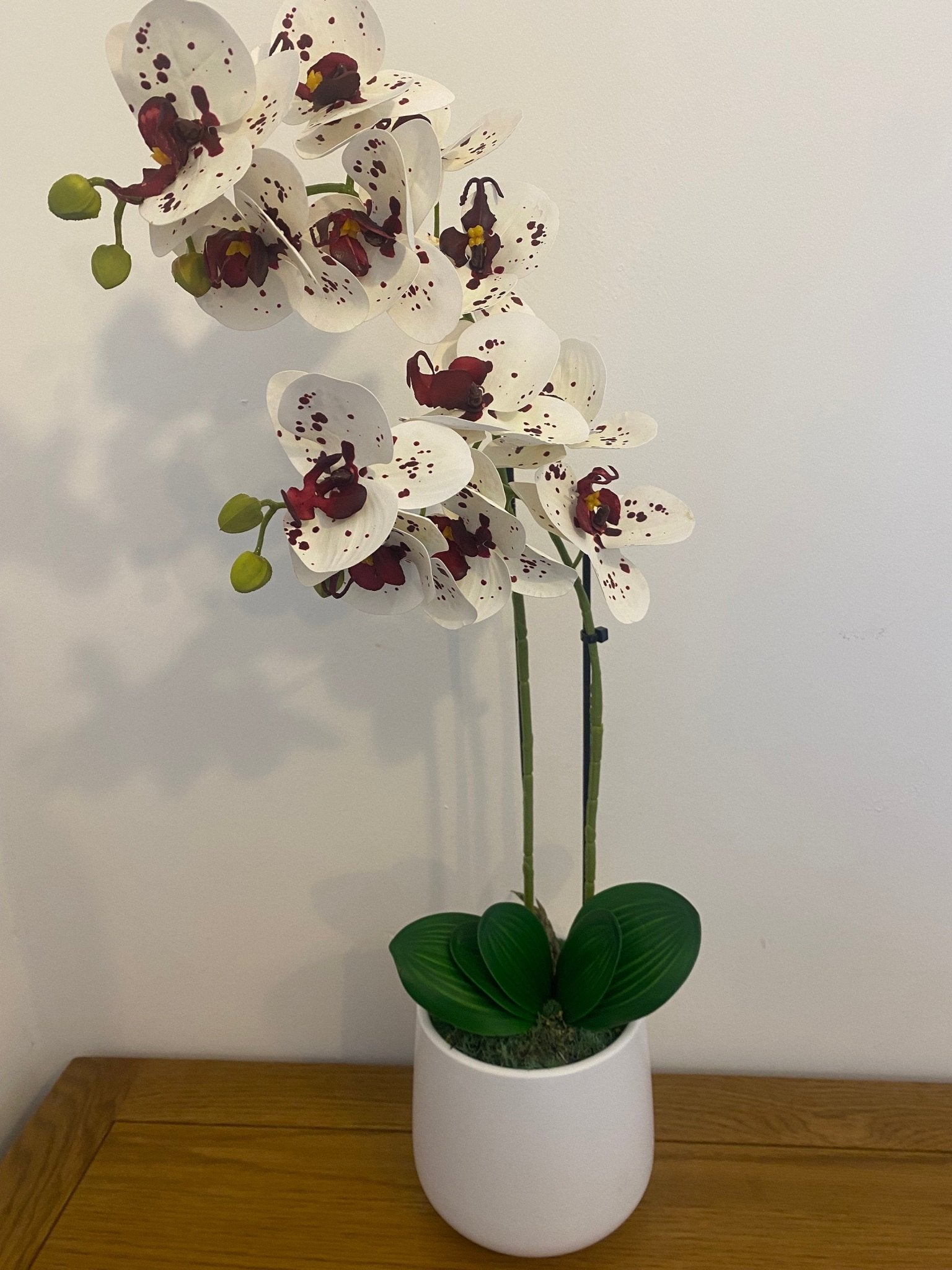 Artificial Orchid Plant, Gift for Her, Real Look Orchids, White Spotted Orchid Pot Plant, Phalaenopsis, Artificial Flowers, Faux Orchid - Floralific