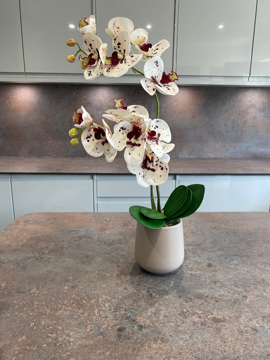 Artificial Orchid Plant, Gift for Her, Real Look Orchids, White Spotted Orchid Pot Plant, Phalaenopsis, Artificial Flowers, Faux Orchid - Floralific