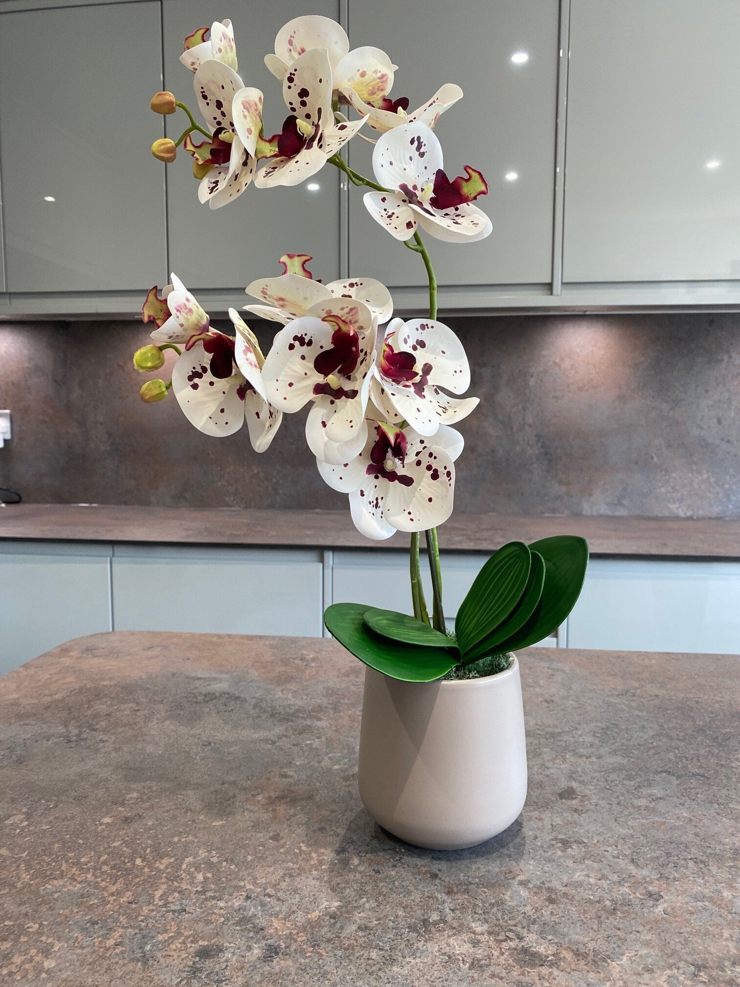 Artificial Orchid Plant, Gift for Her, Real Look Orchids, White Spotted Orchid Pot Plant, Phalaenopsis, Artificial Flowers, Faux Orchid - Floralific