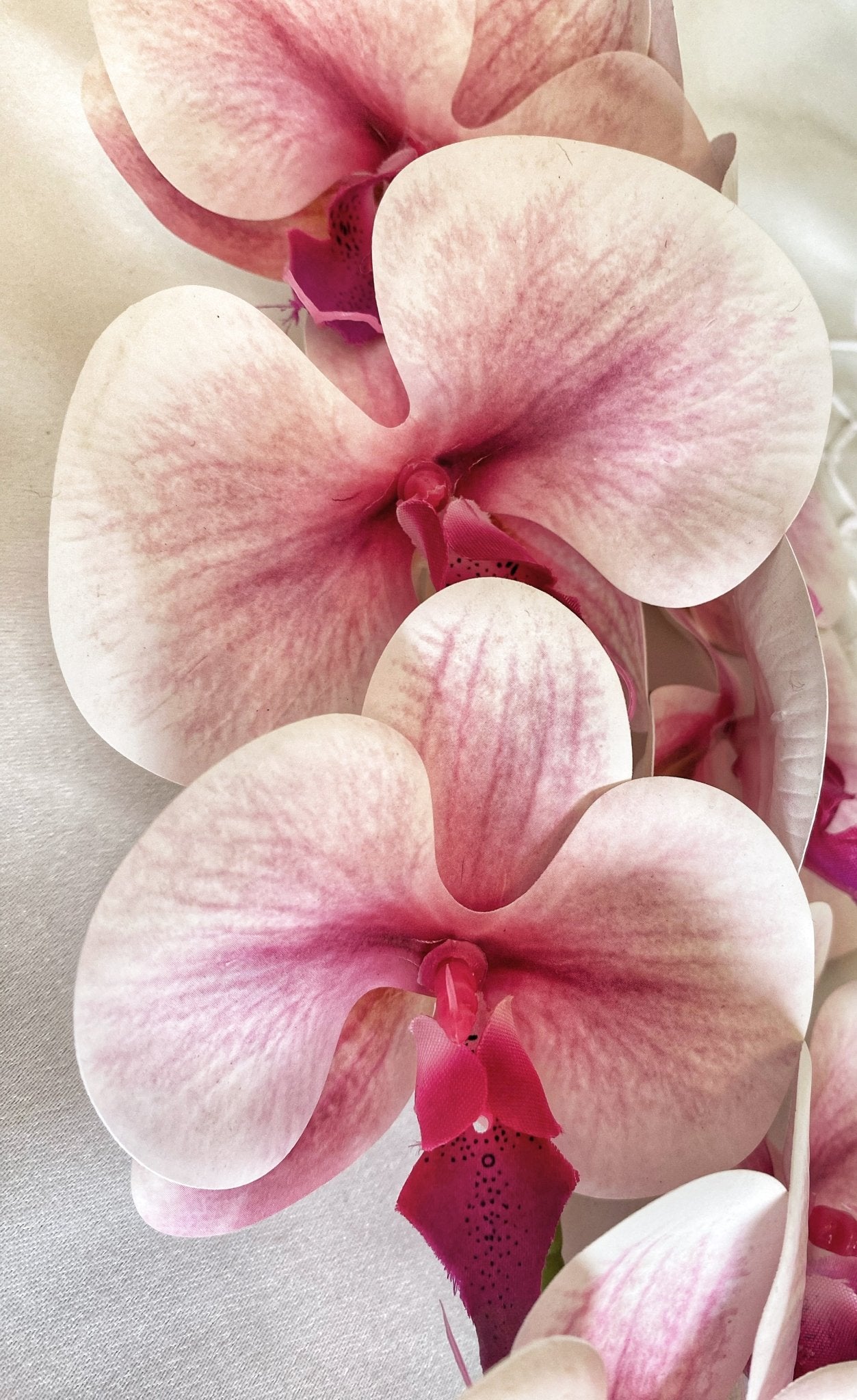 Artificial Orchid, Real Touch Orchids, Variegated Pink Orchid, Phalaenopsis Orchid Flower Artificial Flowers Pink Flowers, Gift for Her - Floralific