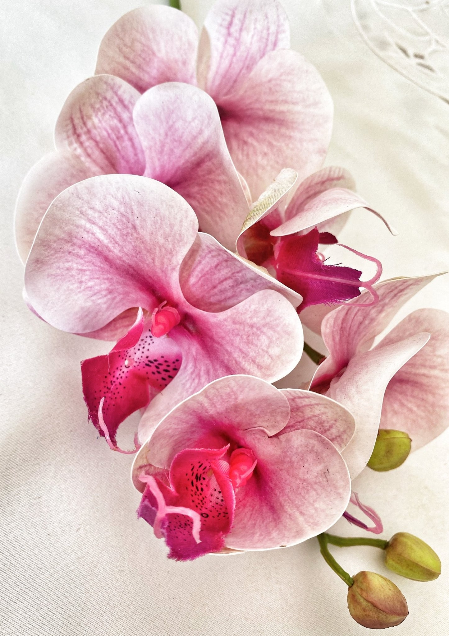 Artificial Orchid, Real Touch Orchids, Variegated Pink Orchid, Phalaenopsis Orchid Flower Artificial Flowers Pink Flowers, Gift for Her - Floralific