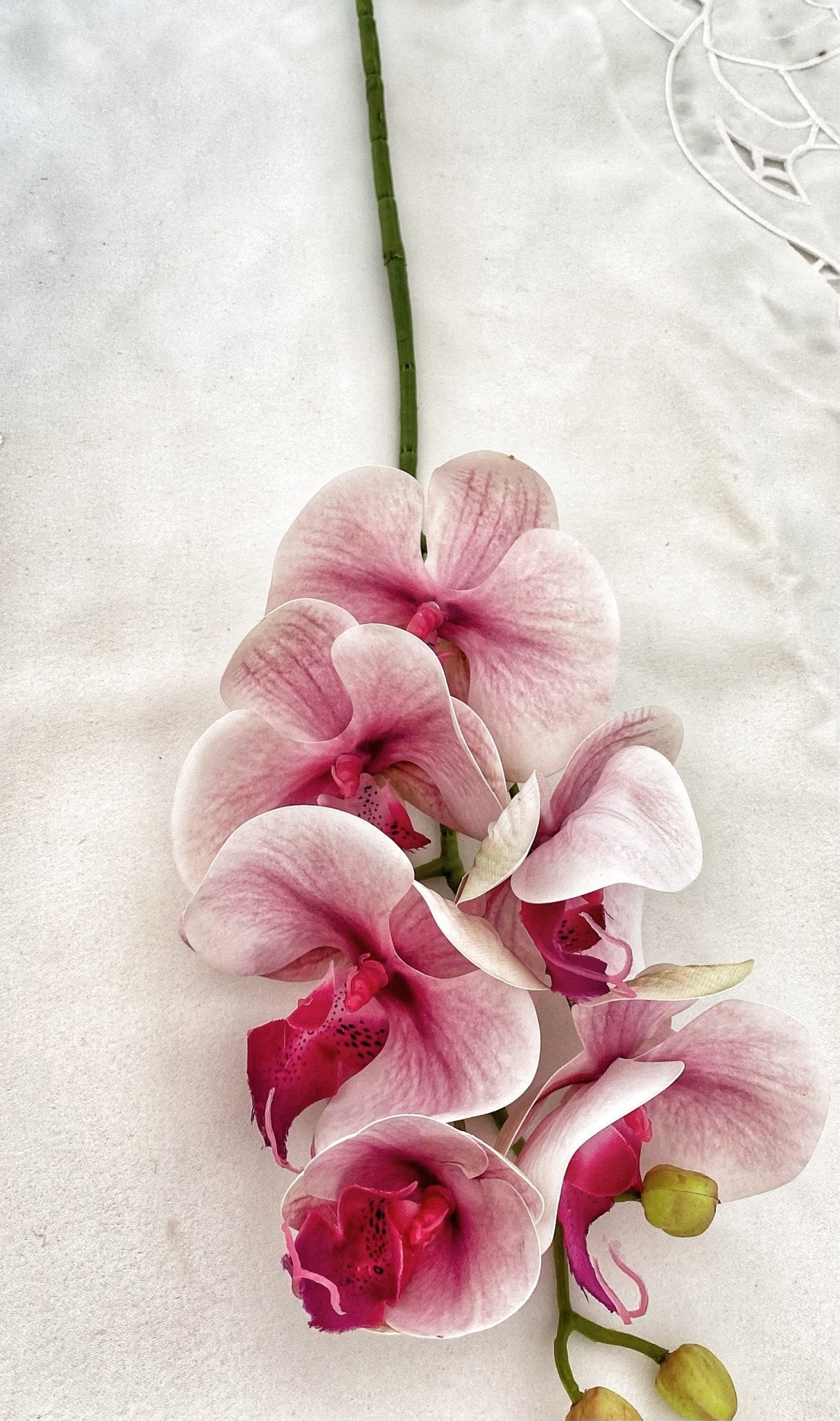 Artificial Orchid, Real Touch Orchids, Variegated Pink Orchid, Phalaenopsis Orchid Flower Artificial Flowers Pink Flowers, Gift for Her - Floralific