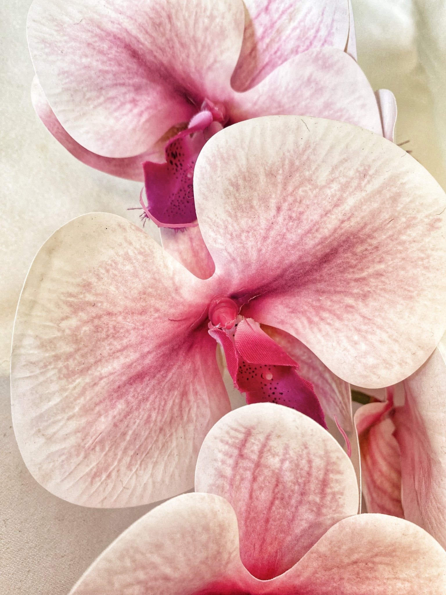 Artificial Orchid, Real Touch Orchids, Variegated Pink Orchid, Phalaenopsis Orchid Flower Artificial Flowers Pink Flowers, Gift for Her - Floralific